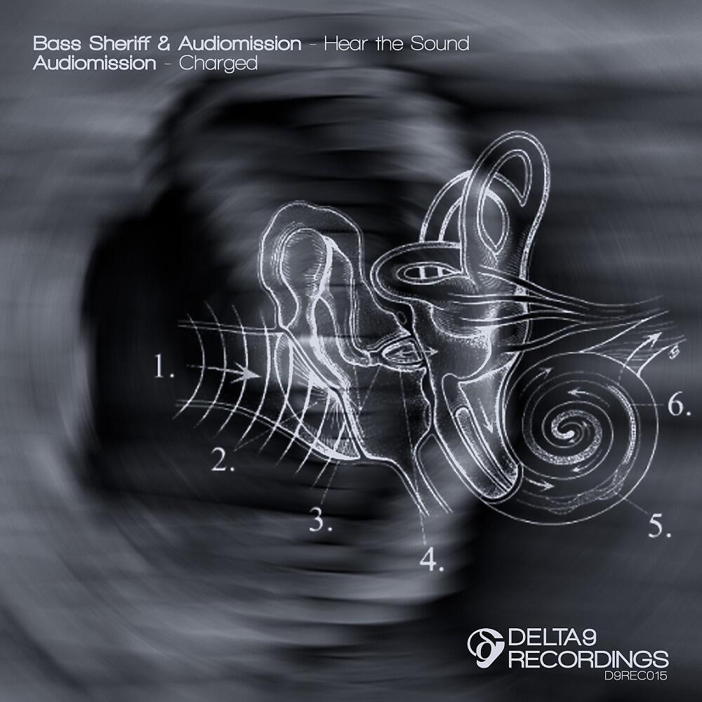 Bass Sheriff & Audiomission