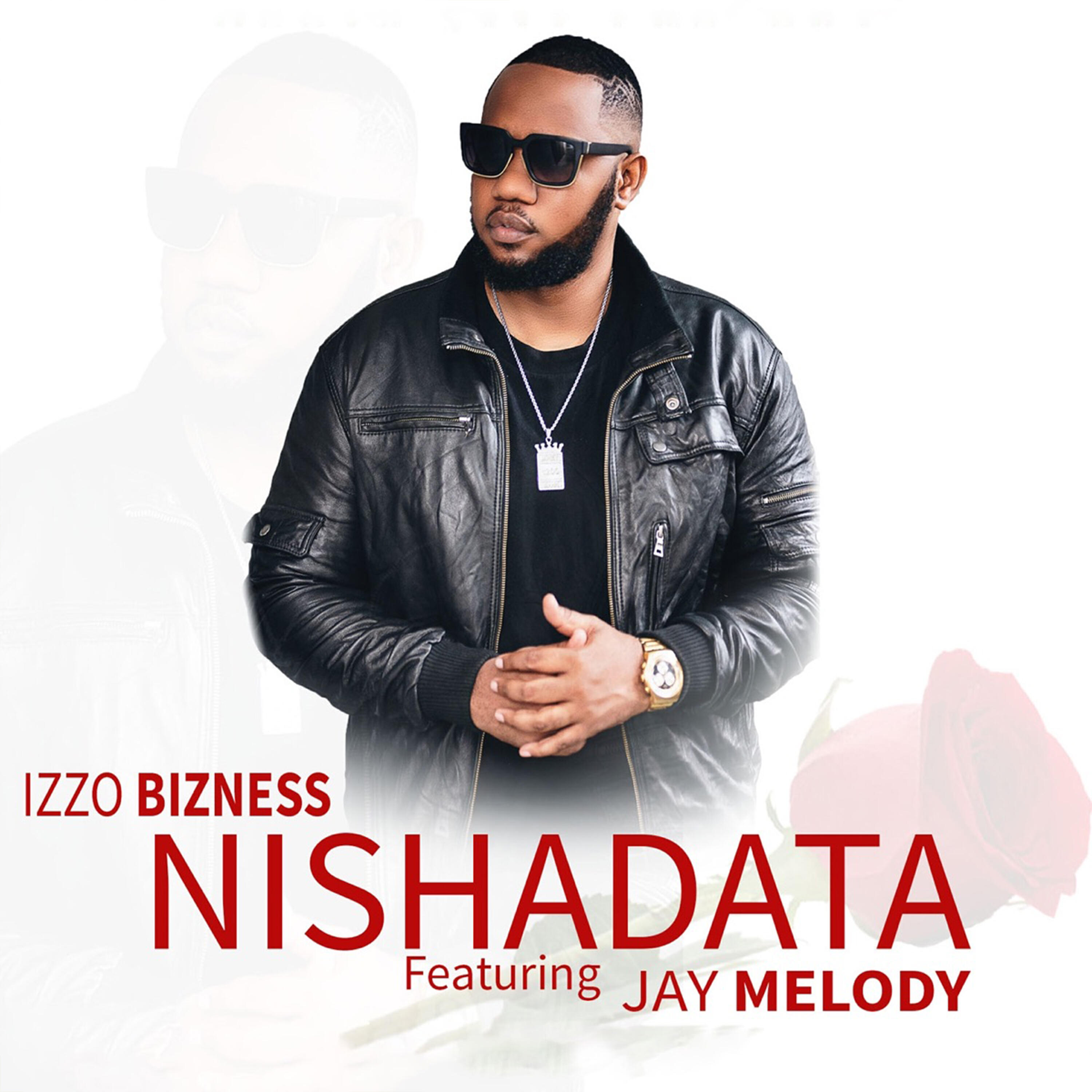 Релиз Nishadata
