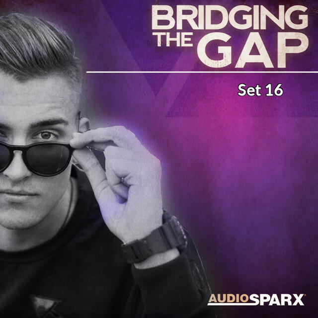 Релиз Bridging the Gap, Set 16