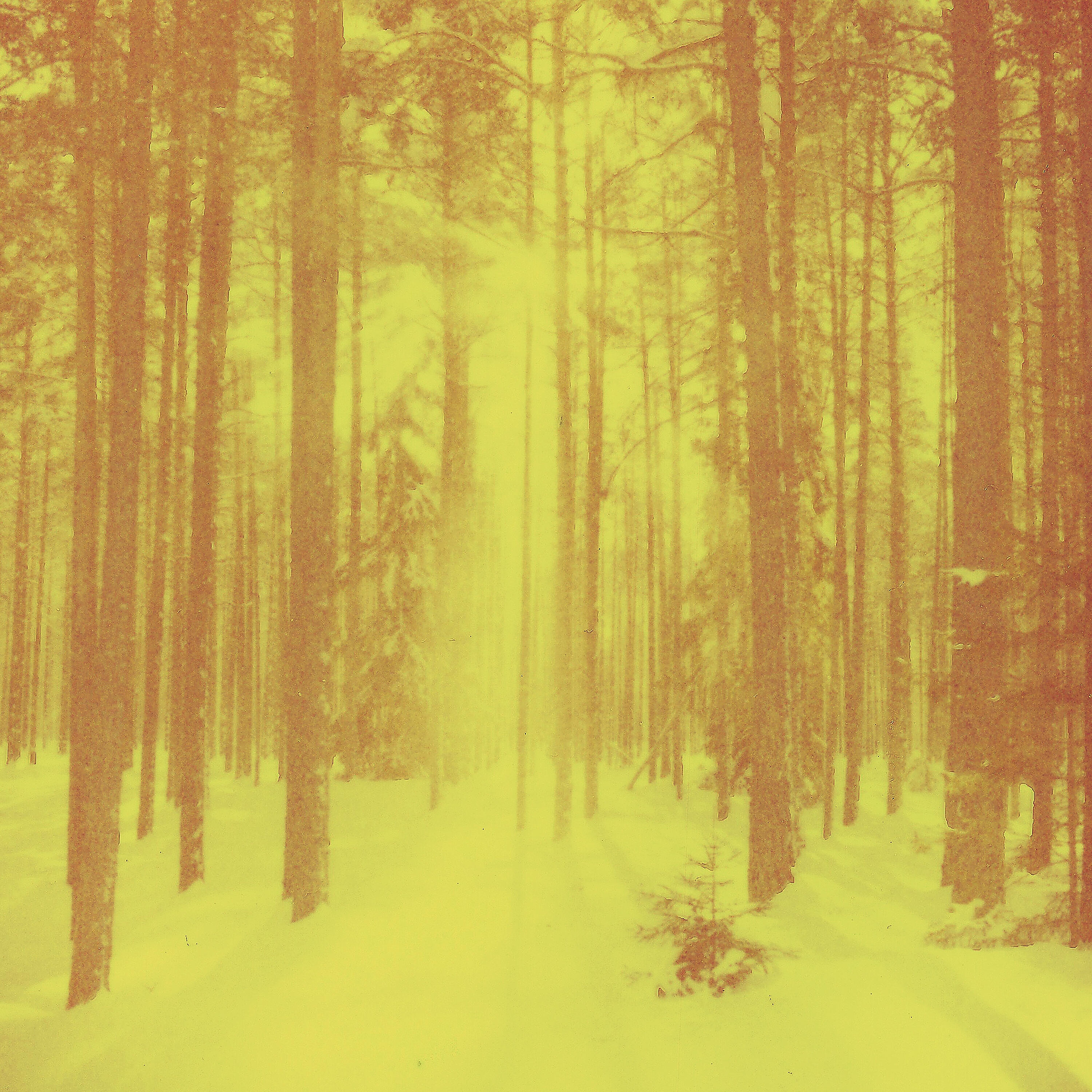 Релиз Nothing Is More Beautiful Than a Dream/Word Travels Fast