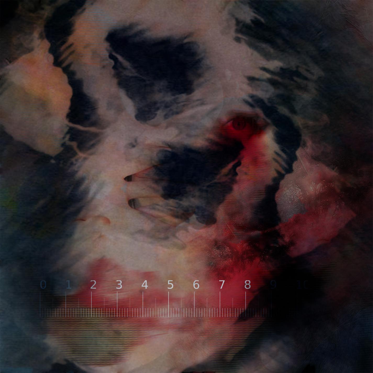 Релиз Toxicofera