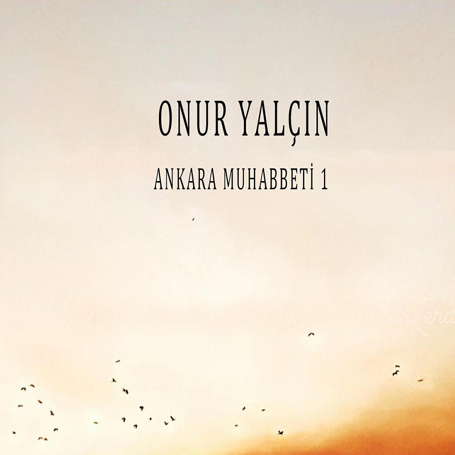 Релиз Ankara Muhabbeti 1