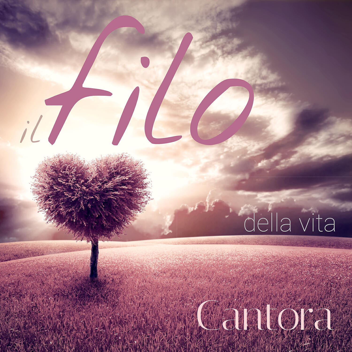 Постер альбома Il filo della vita