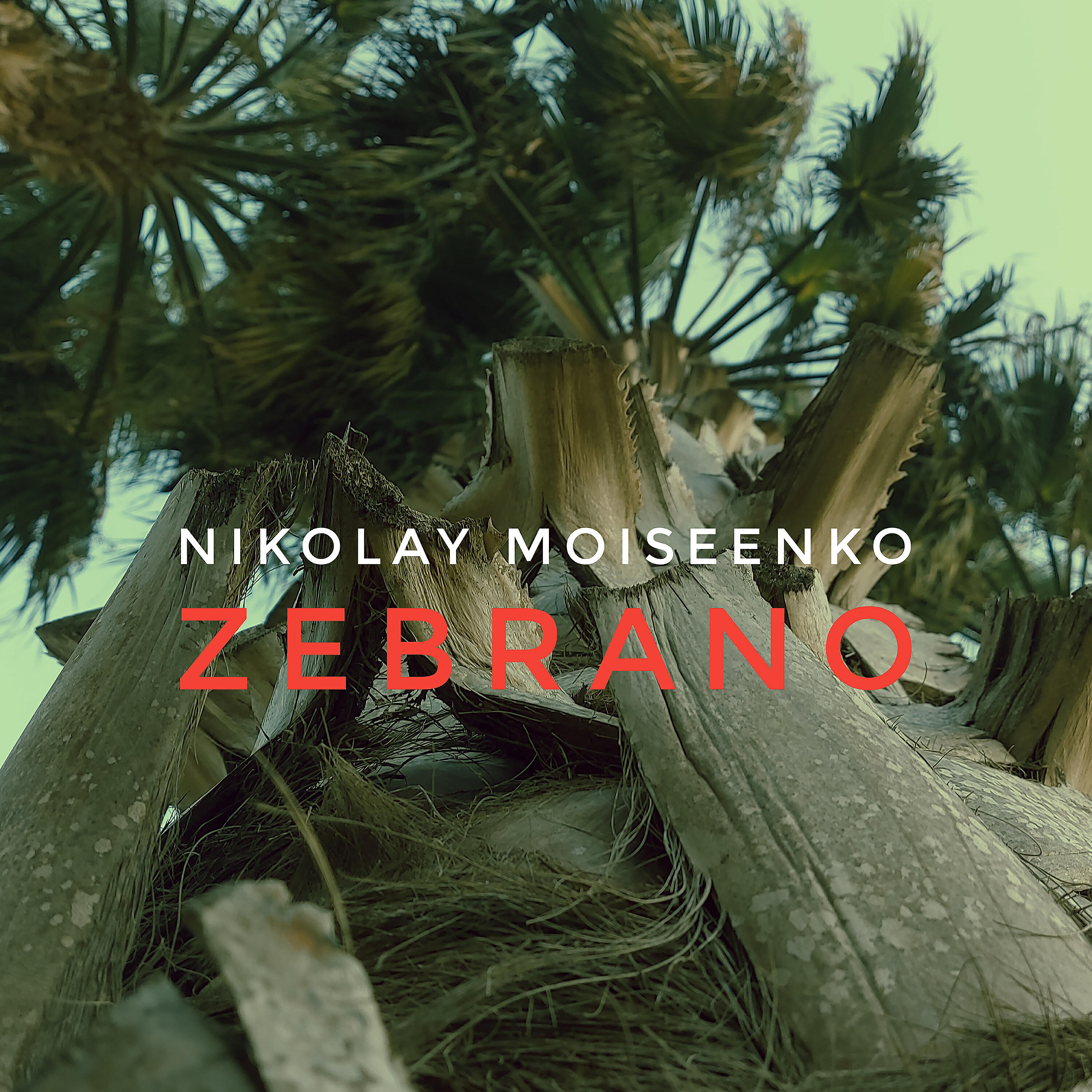 Постер альбома ZEBRANO
