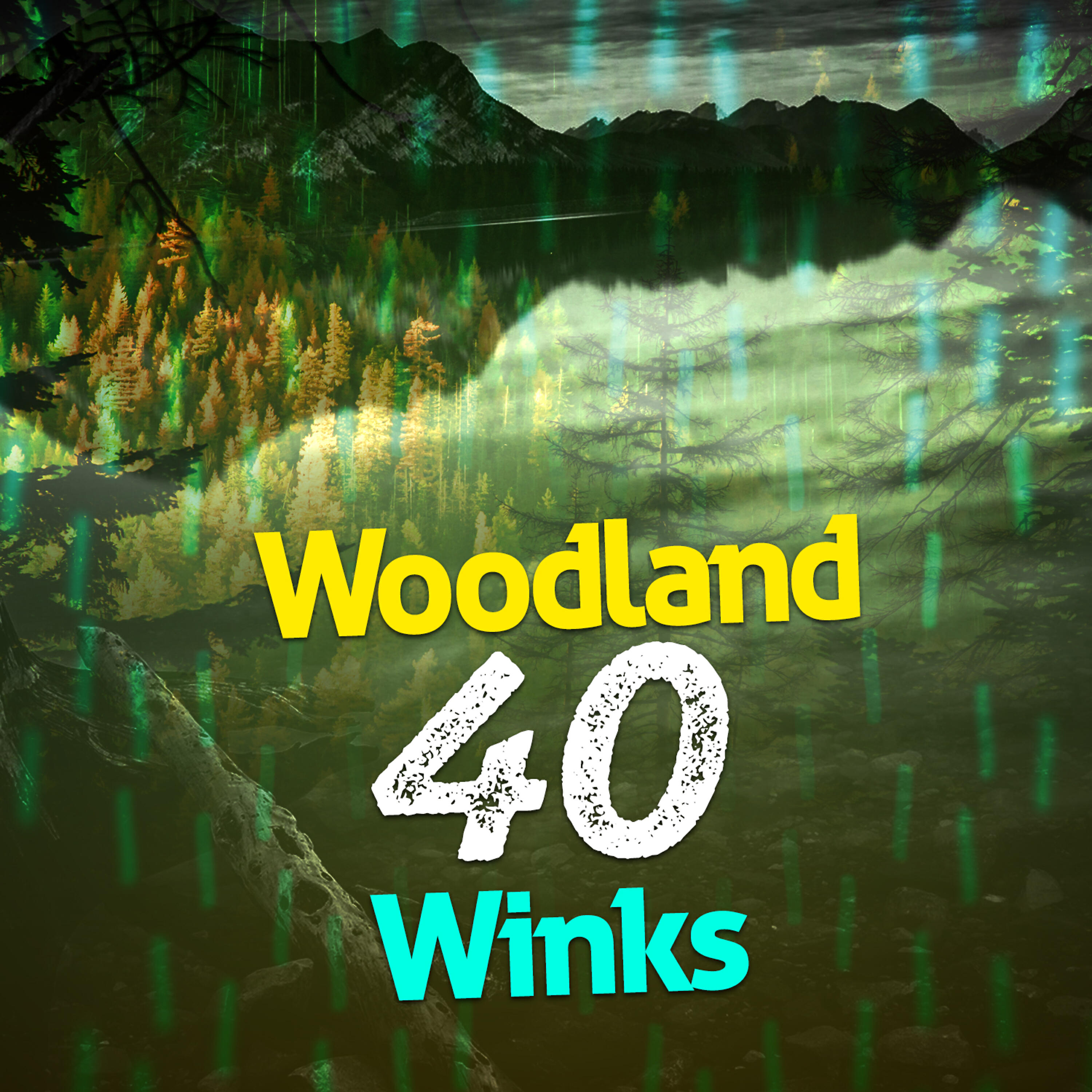 Релиз Woodland: 40 Winks