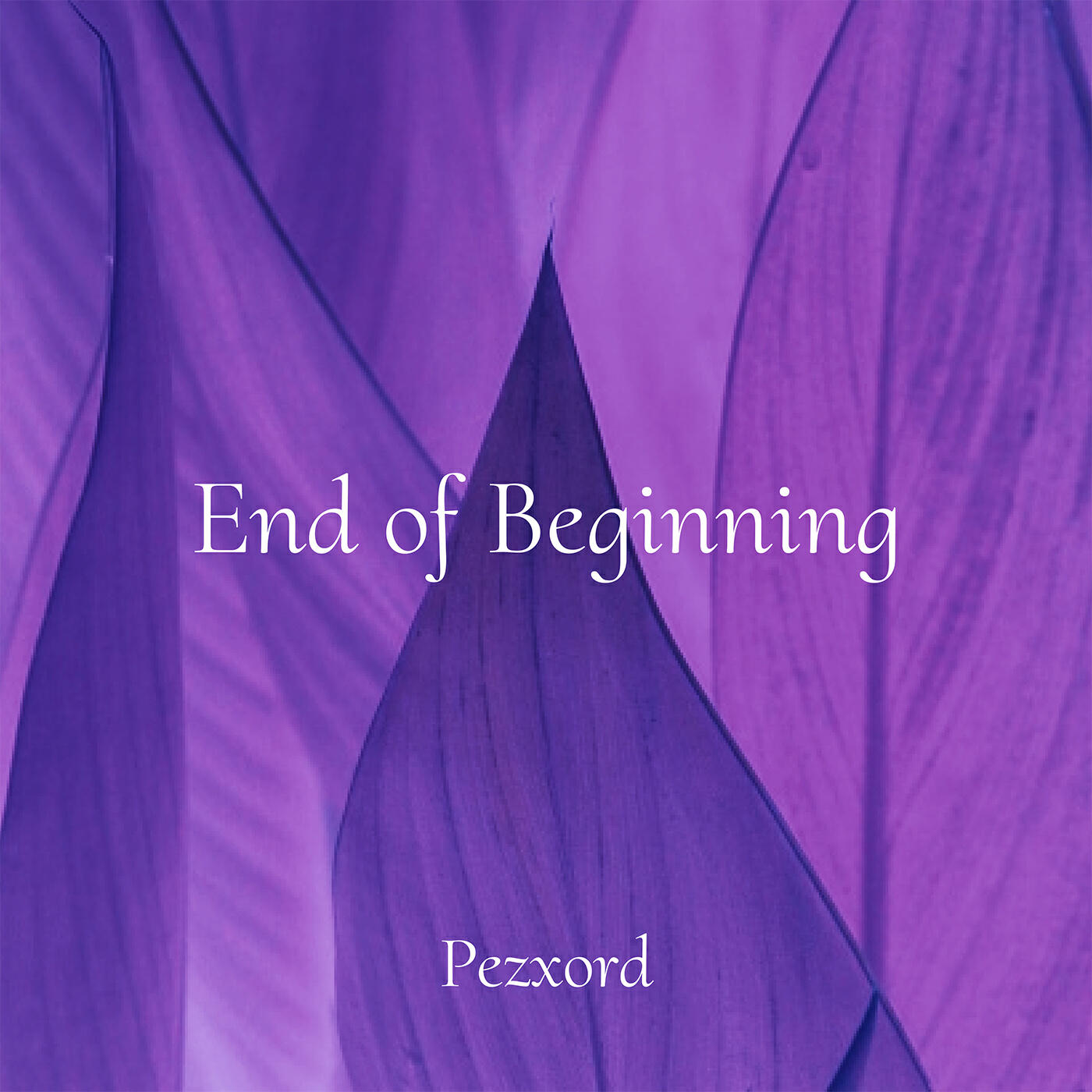Релиз End of Beginning