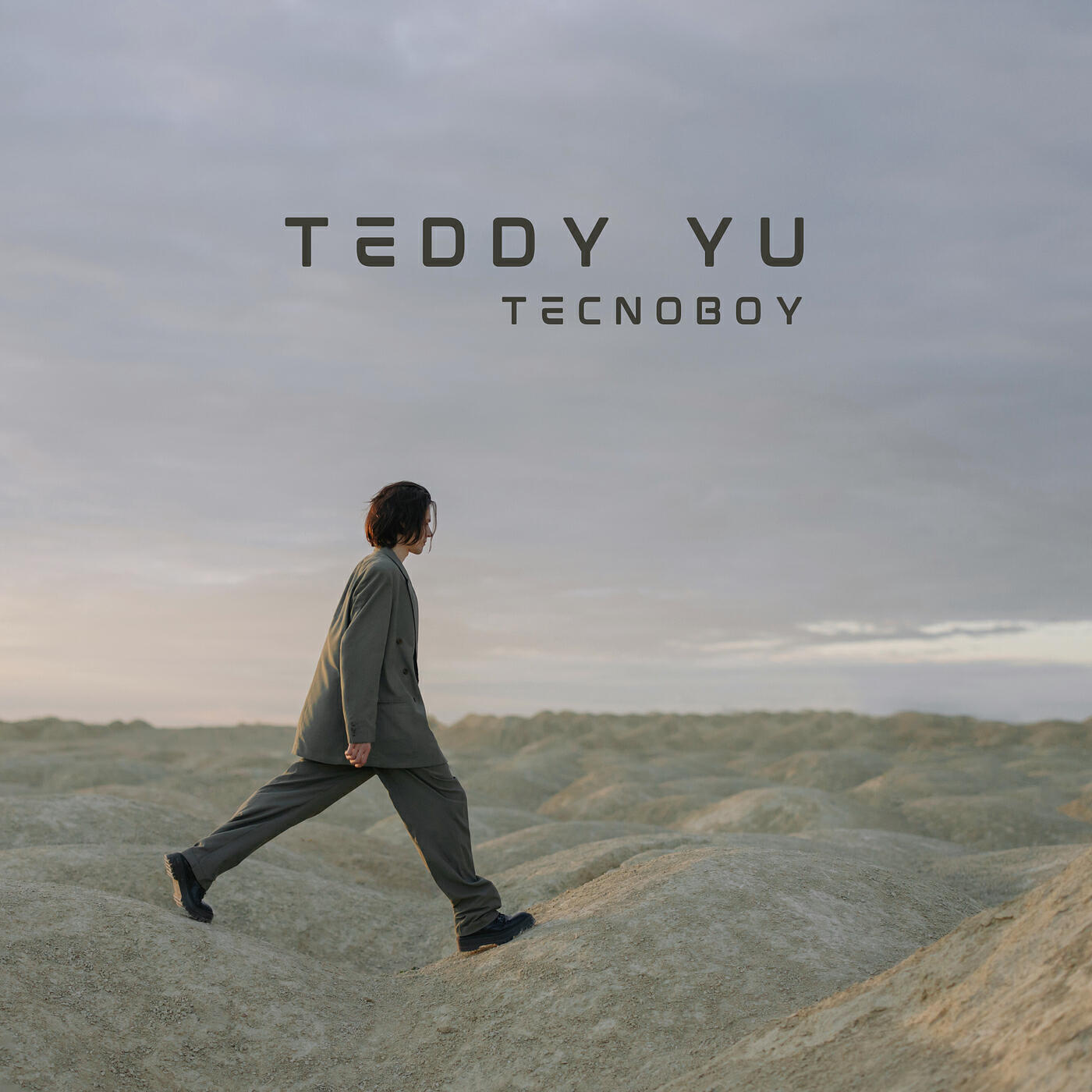 Релиз Teddy Yu