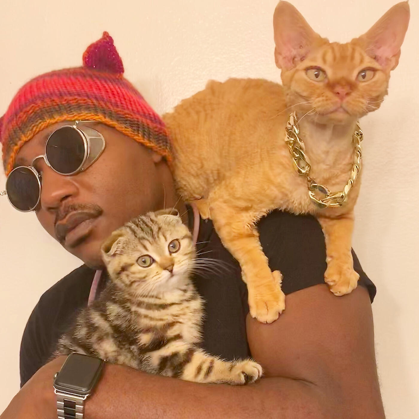 Релиз Cats That's It