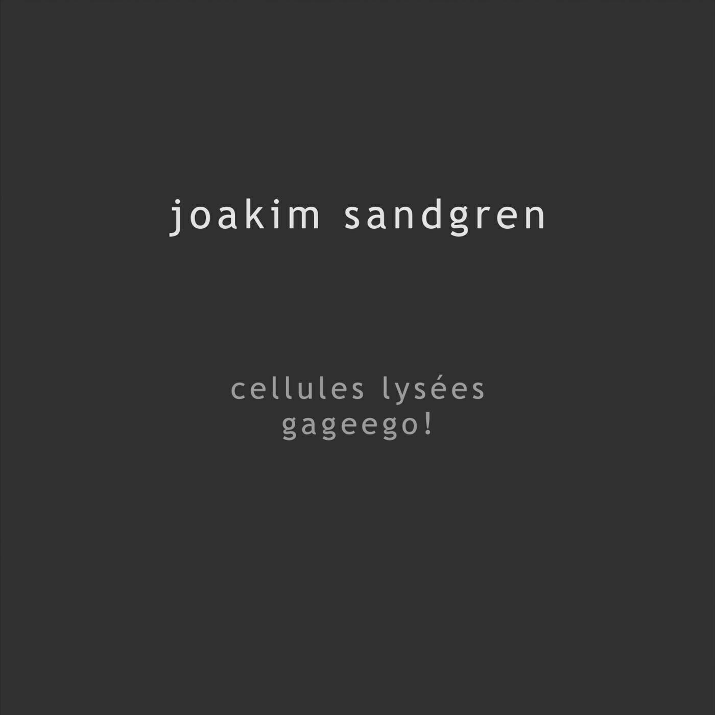 Joakim Sandgren