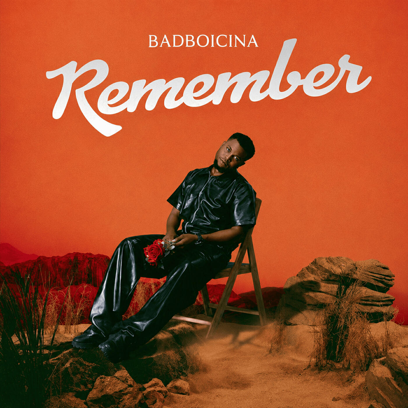 BadBoicina