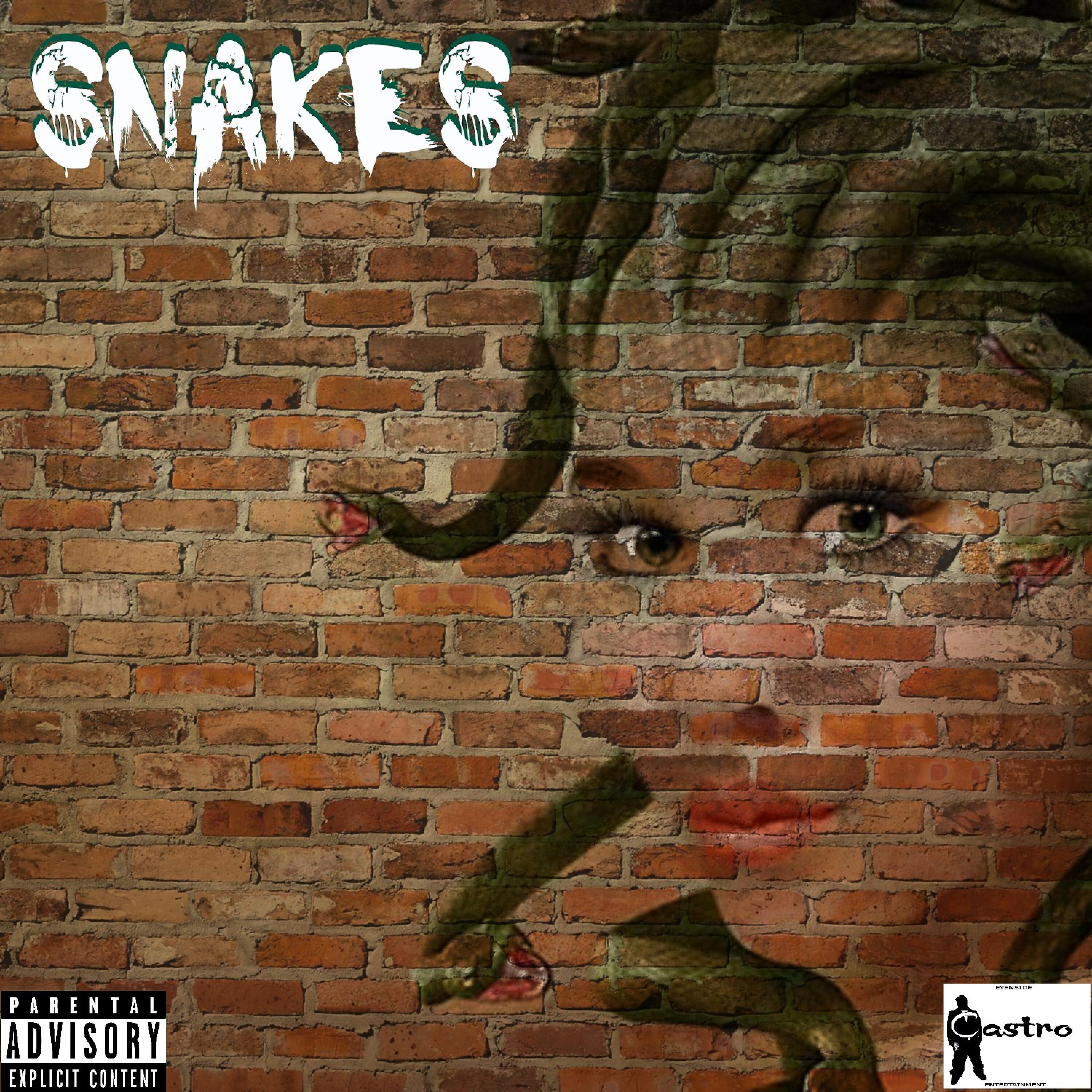 Релиз Snakes (feat. Nucklez Castro & Jay Rocc) - Single