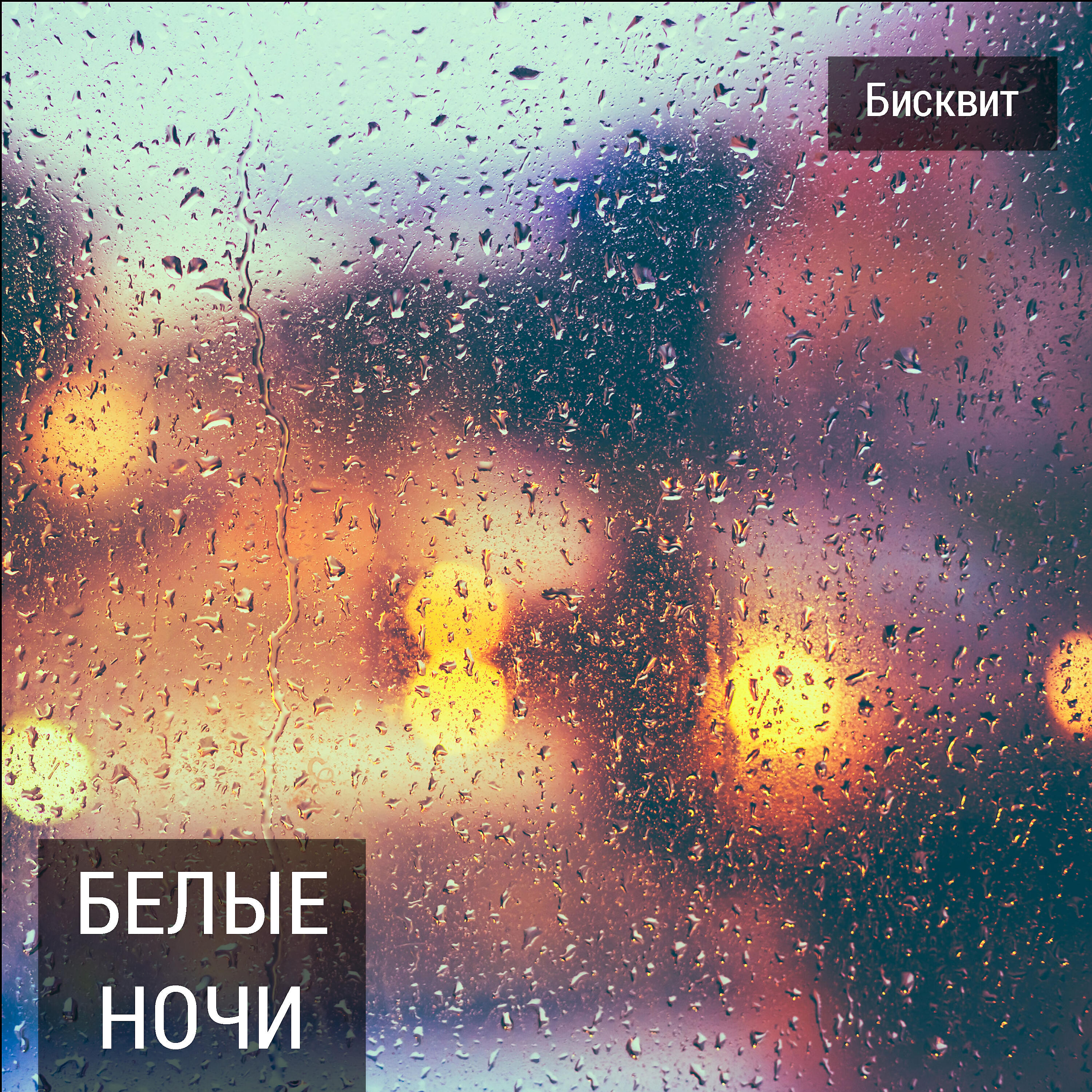 Релиз Белые ночи