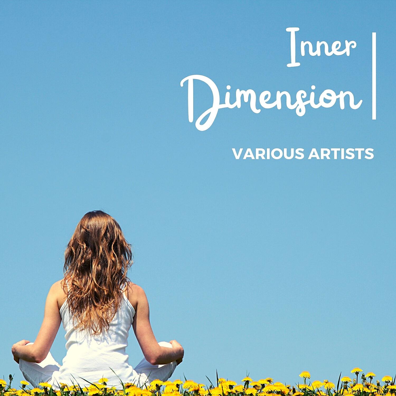 Релиз Inner Dimension