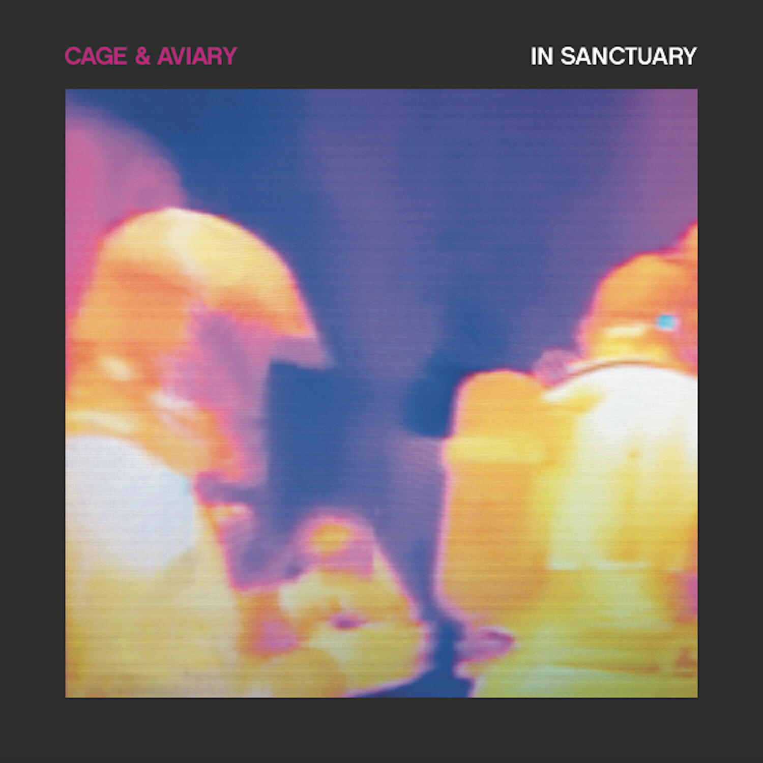 Релиз In Sanctuary