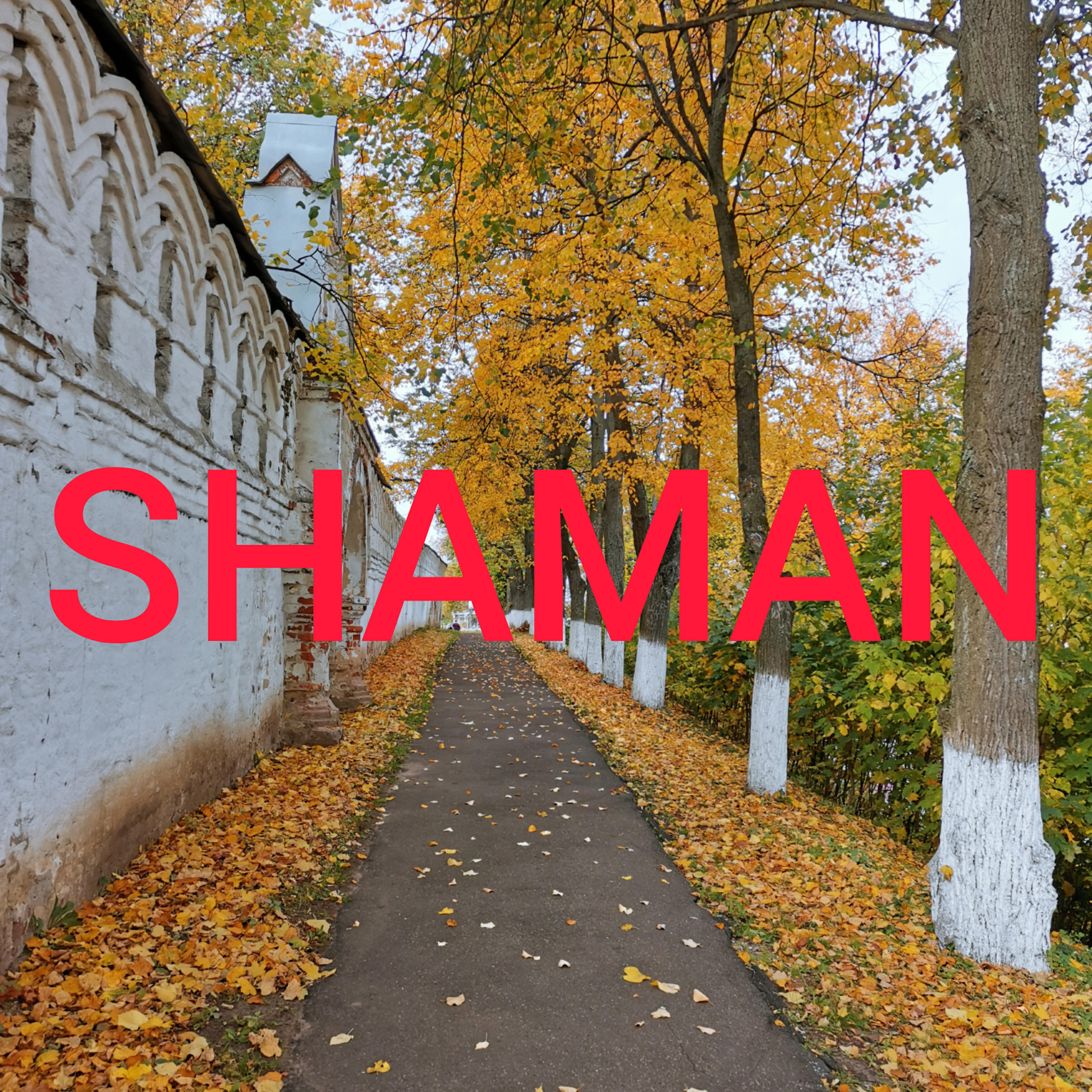Релиз Shaman