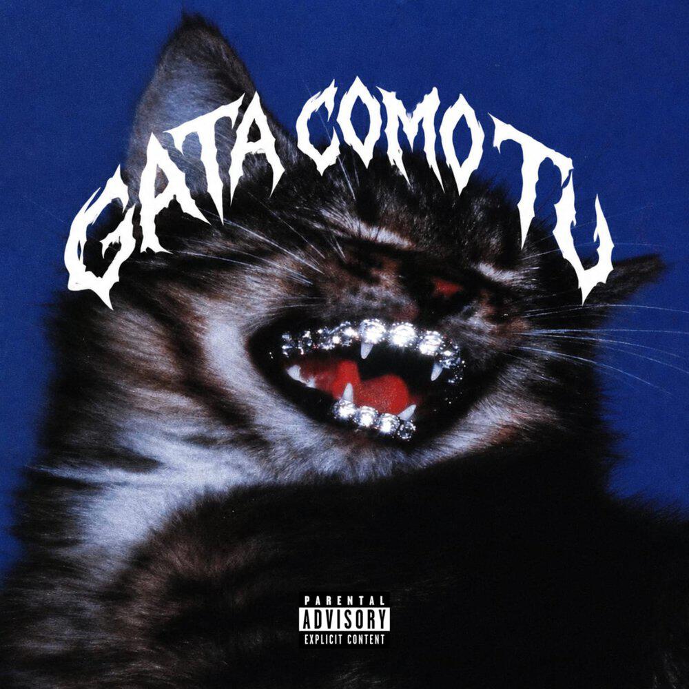 Релиз Gata Como Tu