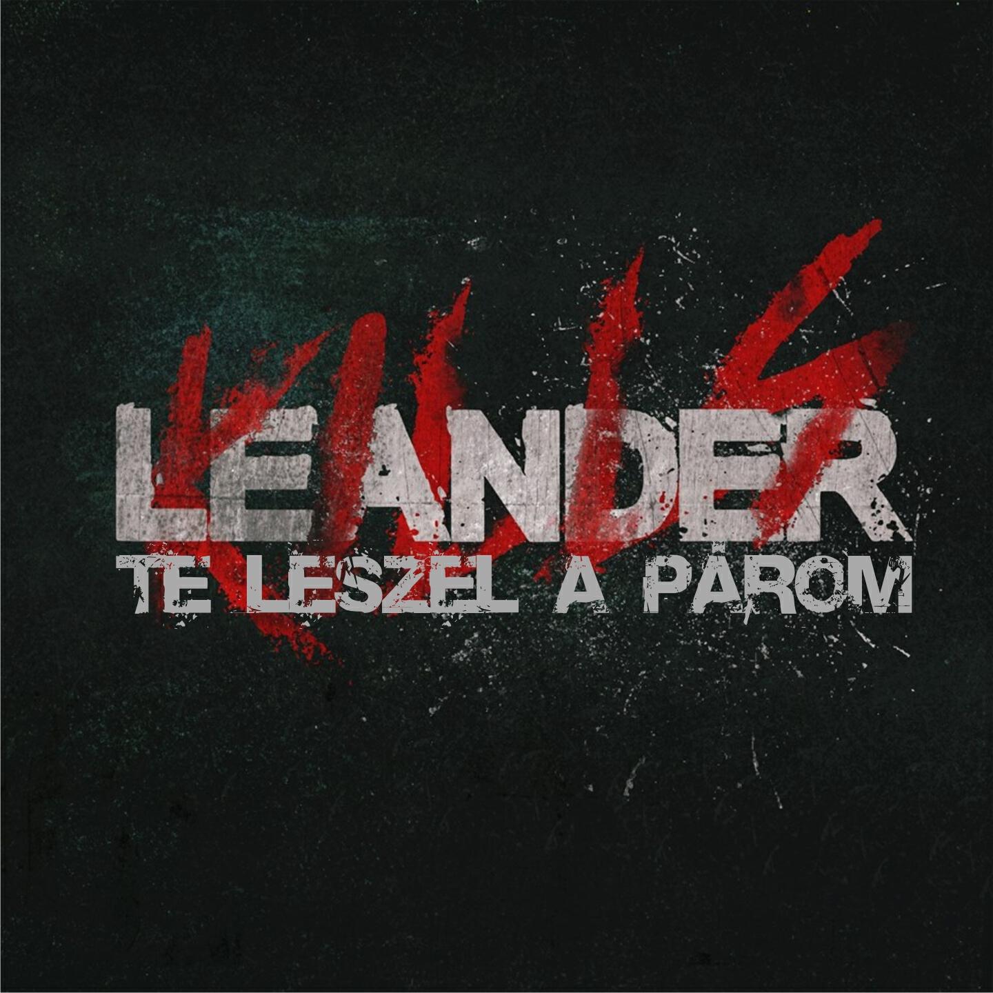 Релиз Te Leszel A Párom