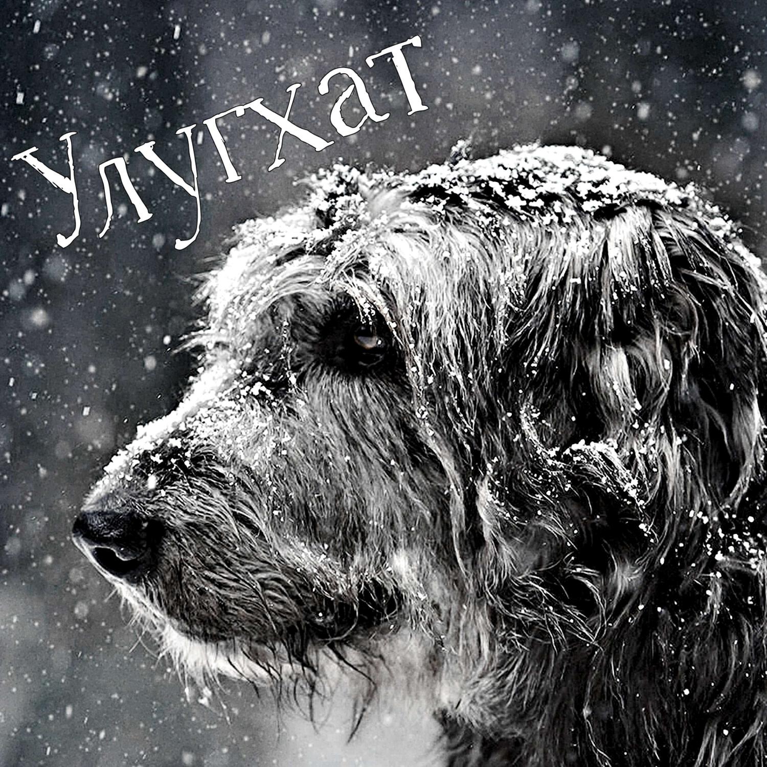 Релиз Улугхат