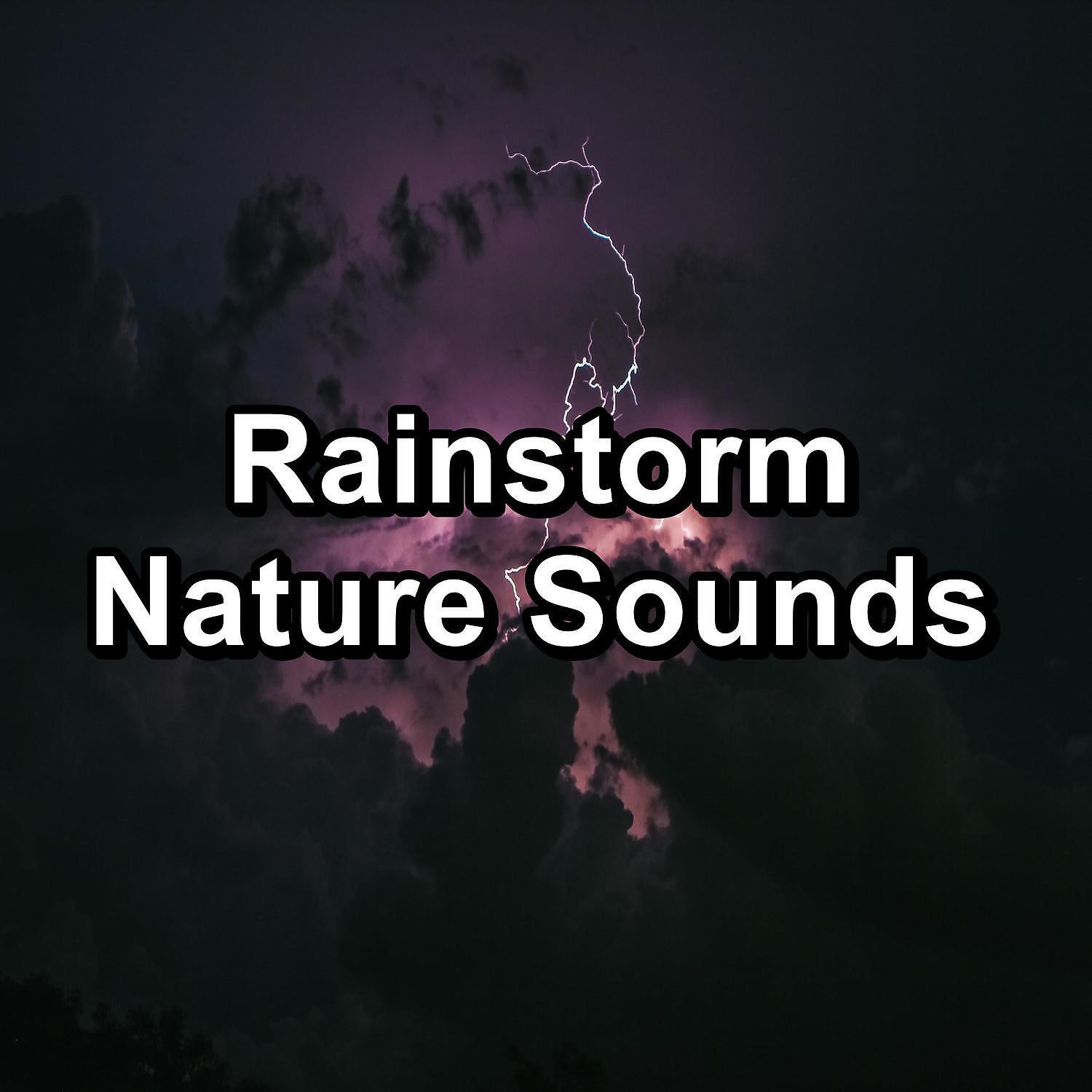 Релиз Rainstorm Nature Sounds