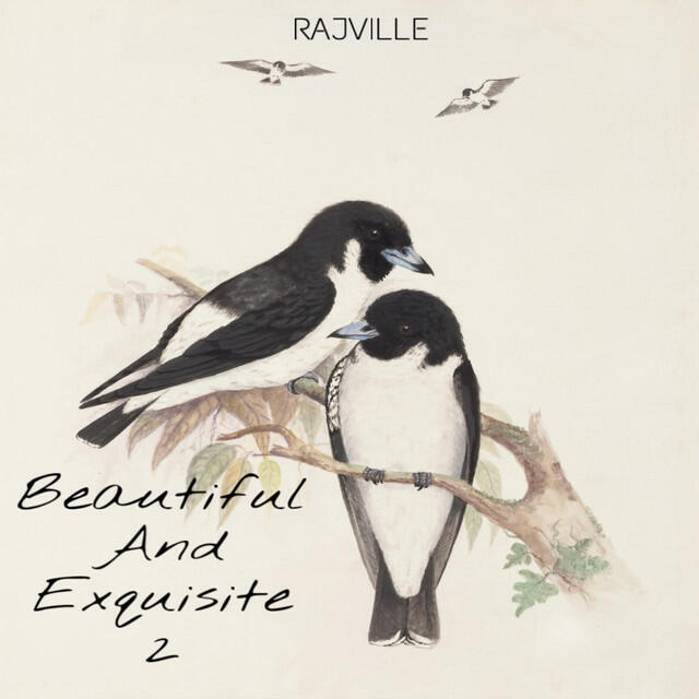 Релиз Beautiful And Exquisite 2
