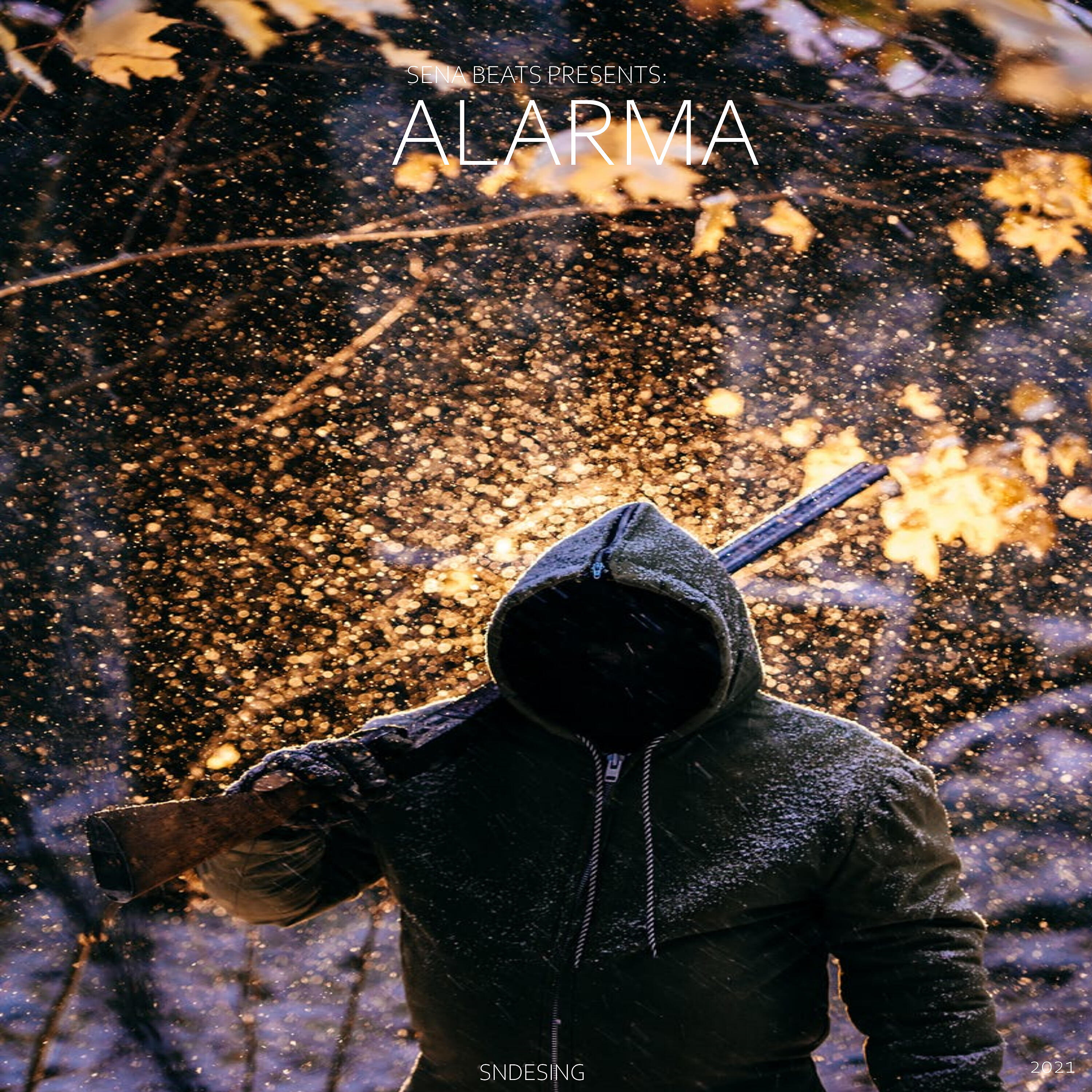 Релиз Alarma
