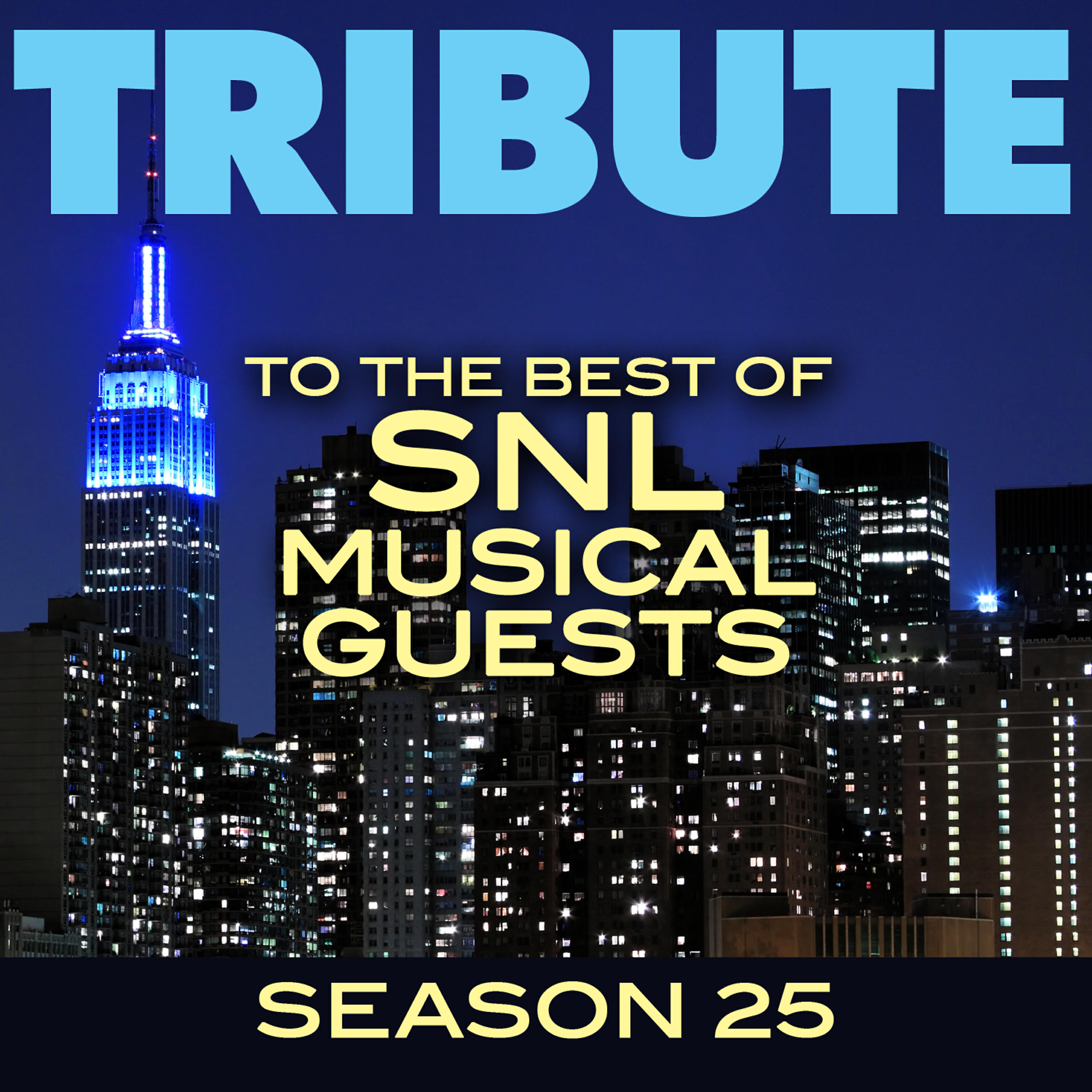 Релиз Tribute to the Best of SNL Musical Guests Season 25