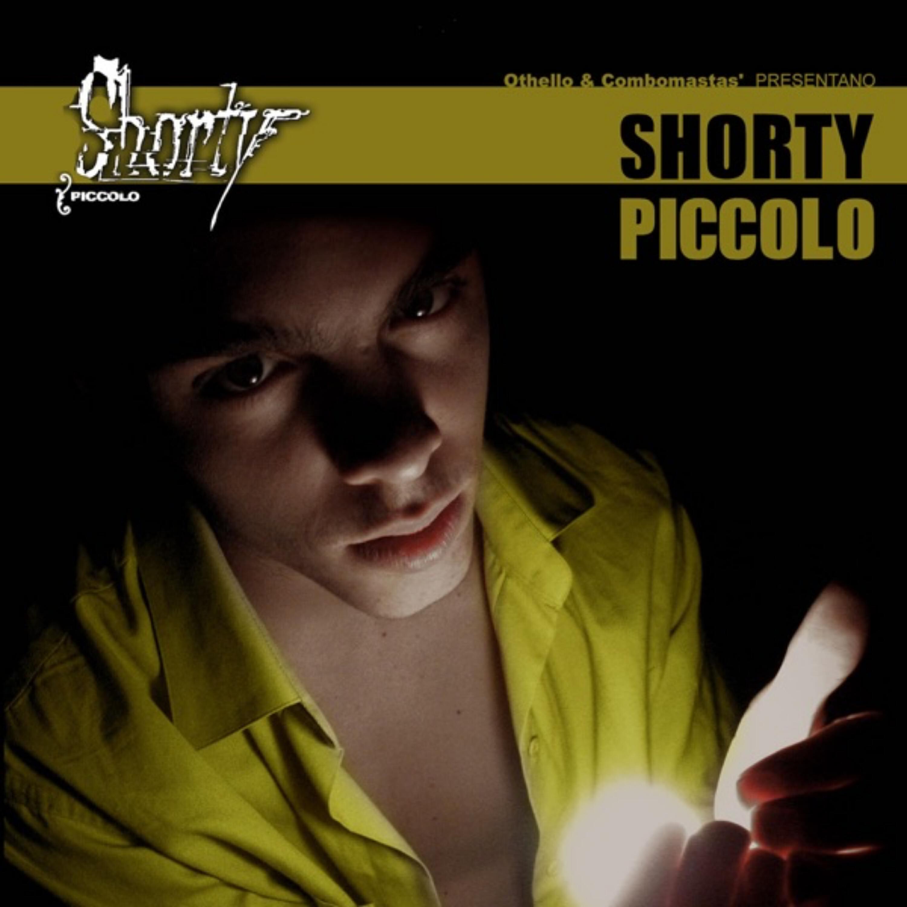 Релиз Piccolo