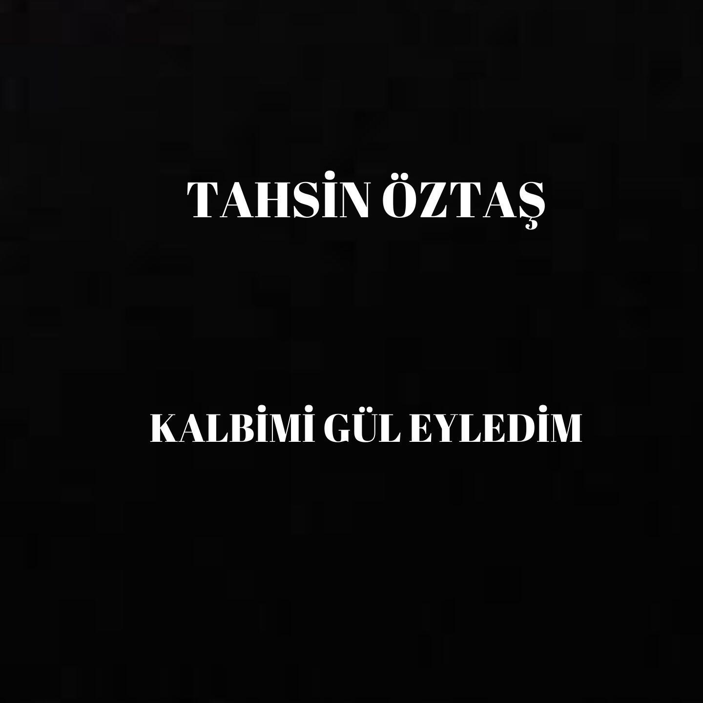Трек Kalbimi Gül Eyledim