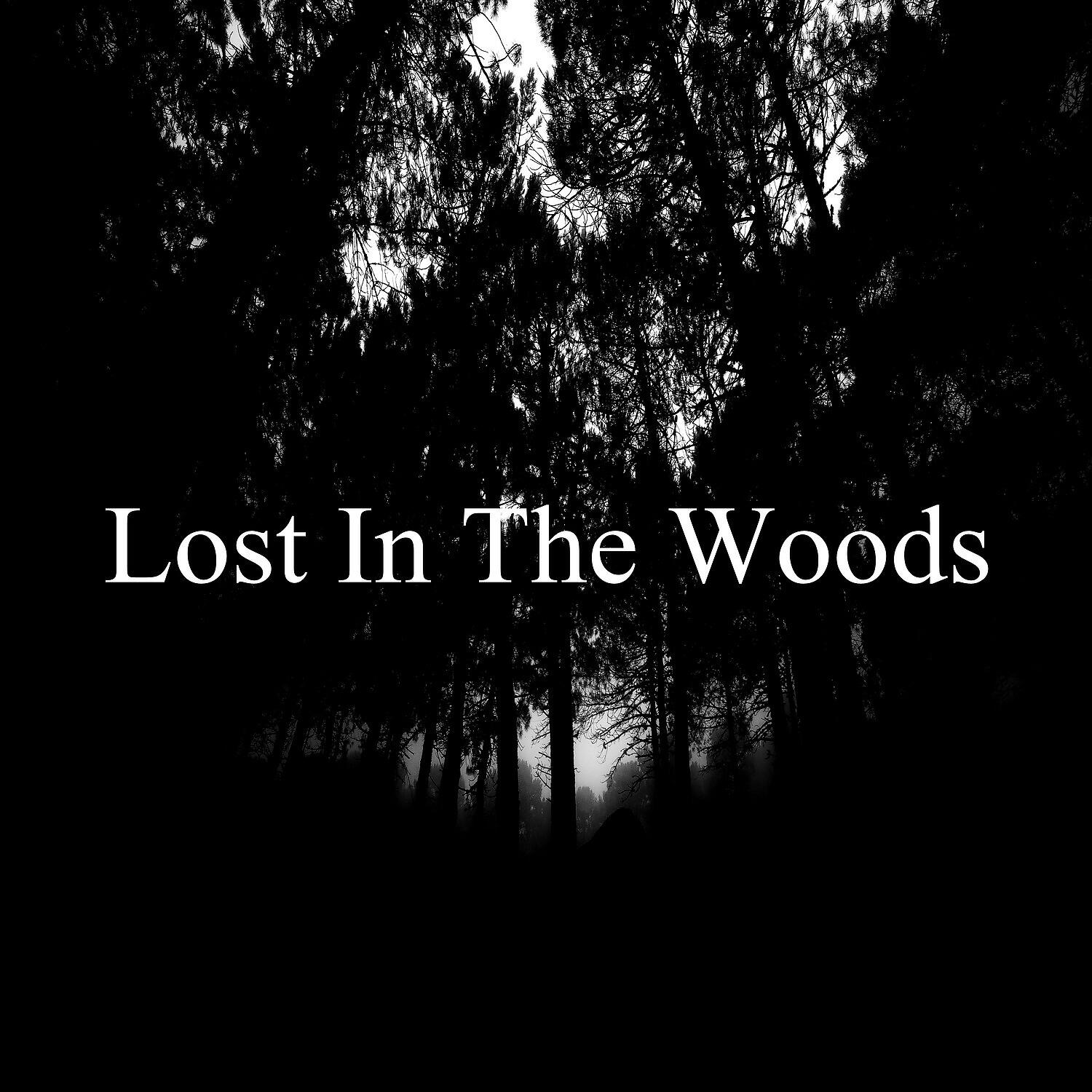 Релиз Lost in the Woods