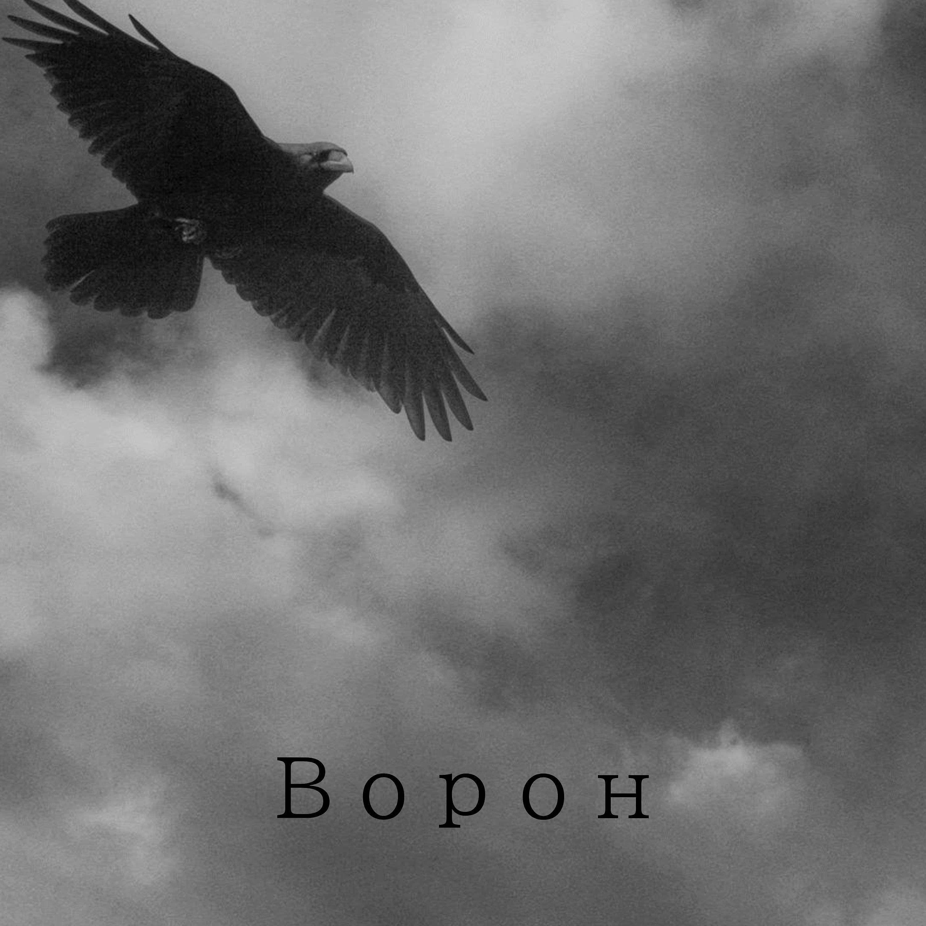 Постер альбома Ворон