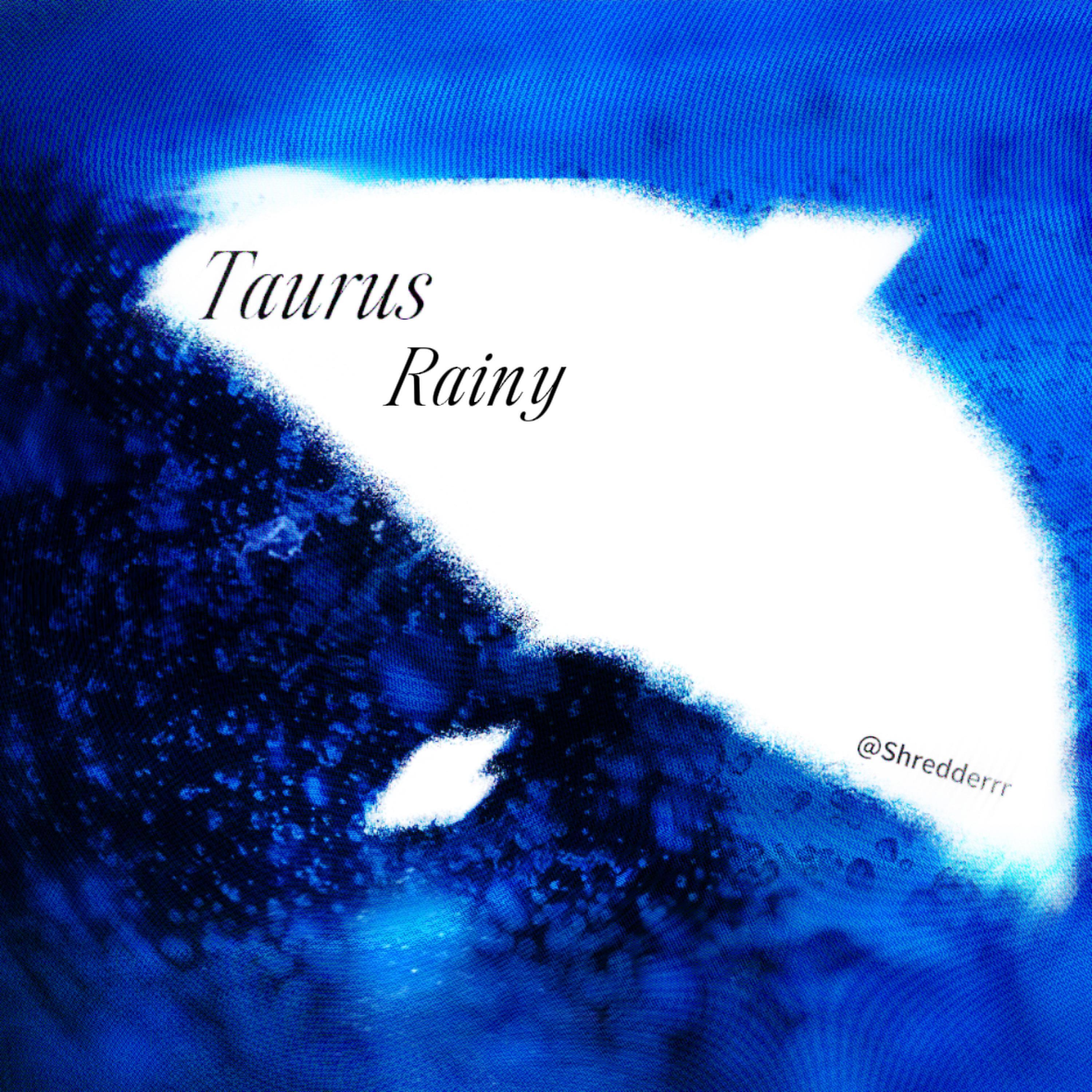 Релиз Taurus Rainy（金牛座）