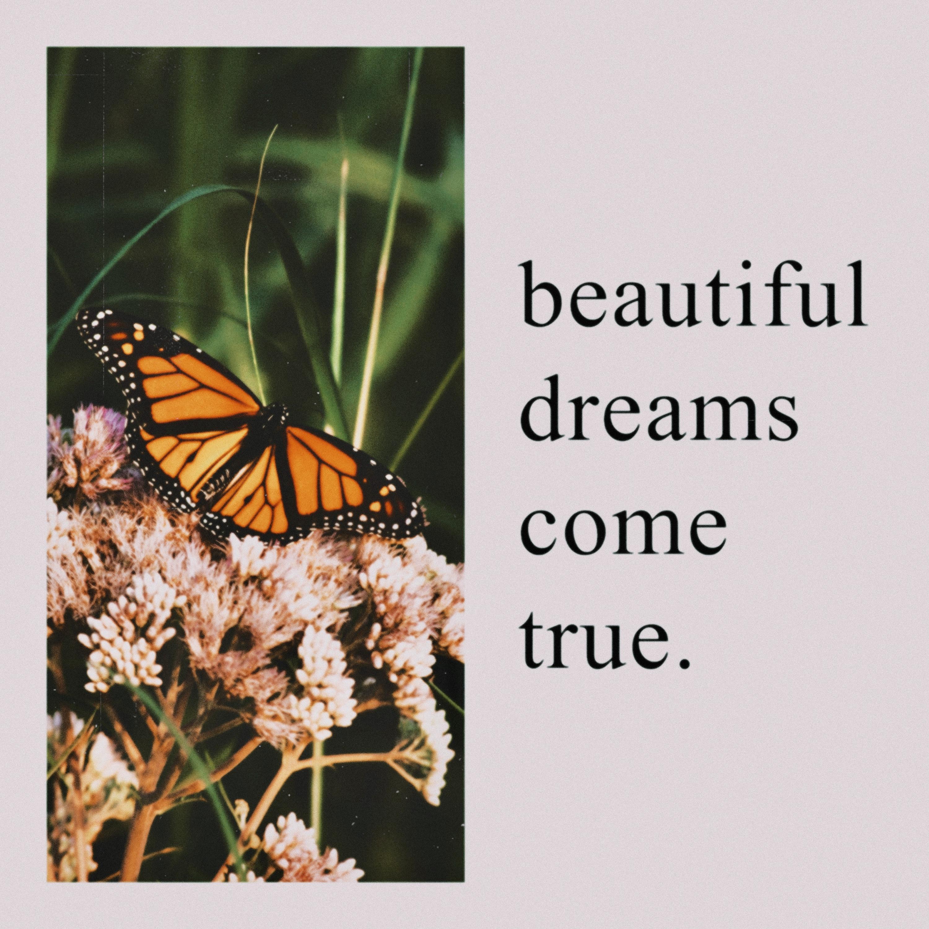 Релиз beautiful dreams come true.