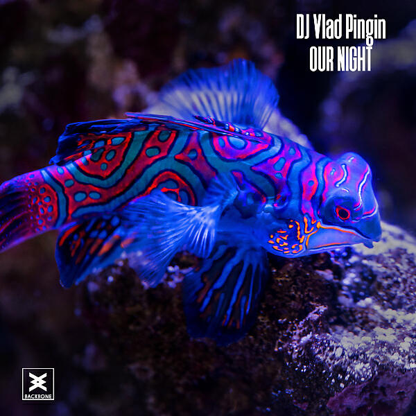 Релиз Our Night