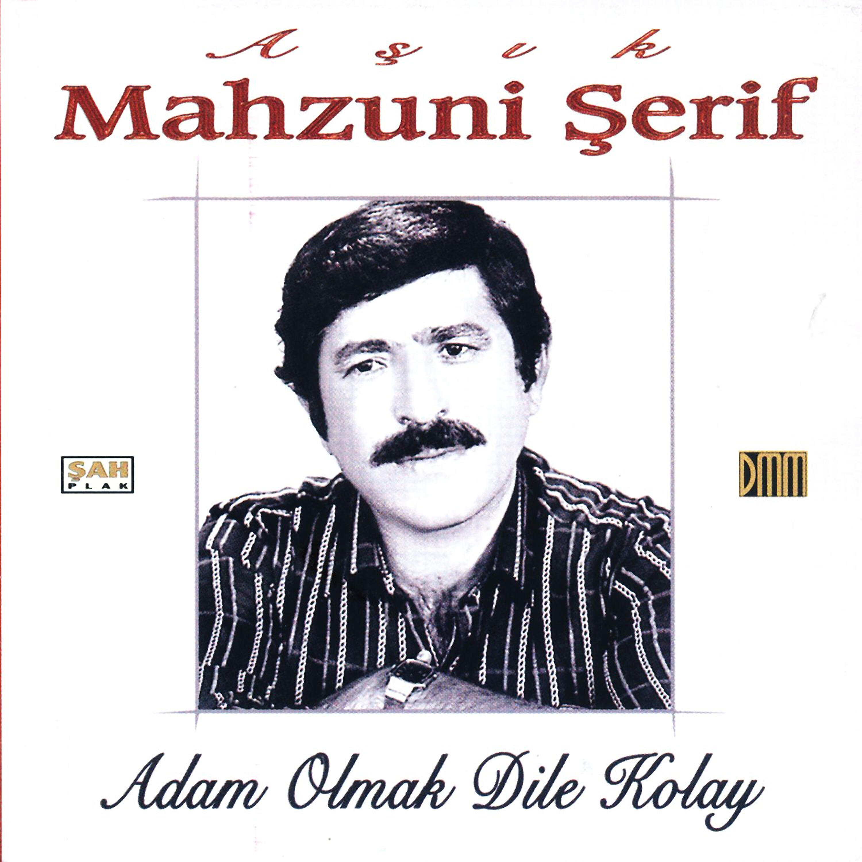 Релиз Adam Olmak Dile Kolay