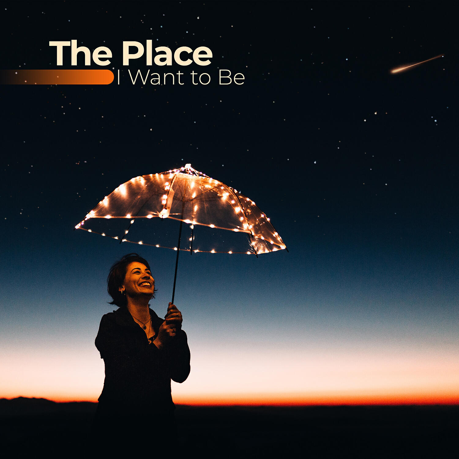 Релиз The Place I Want to Be