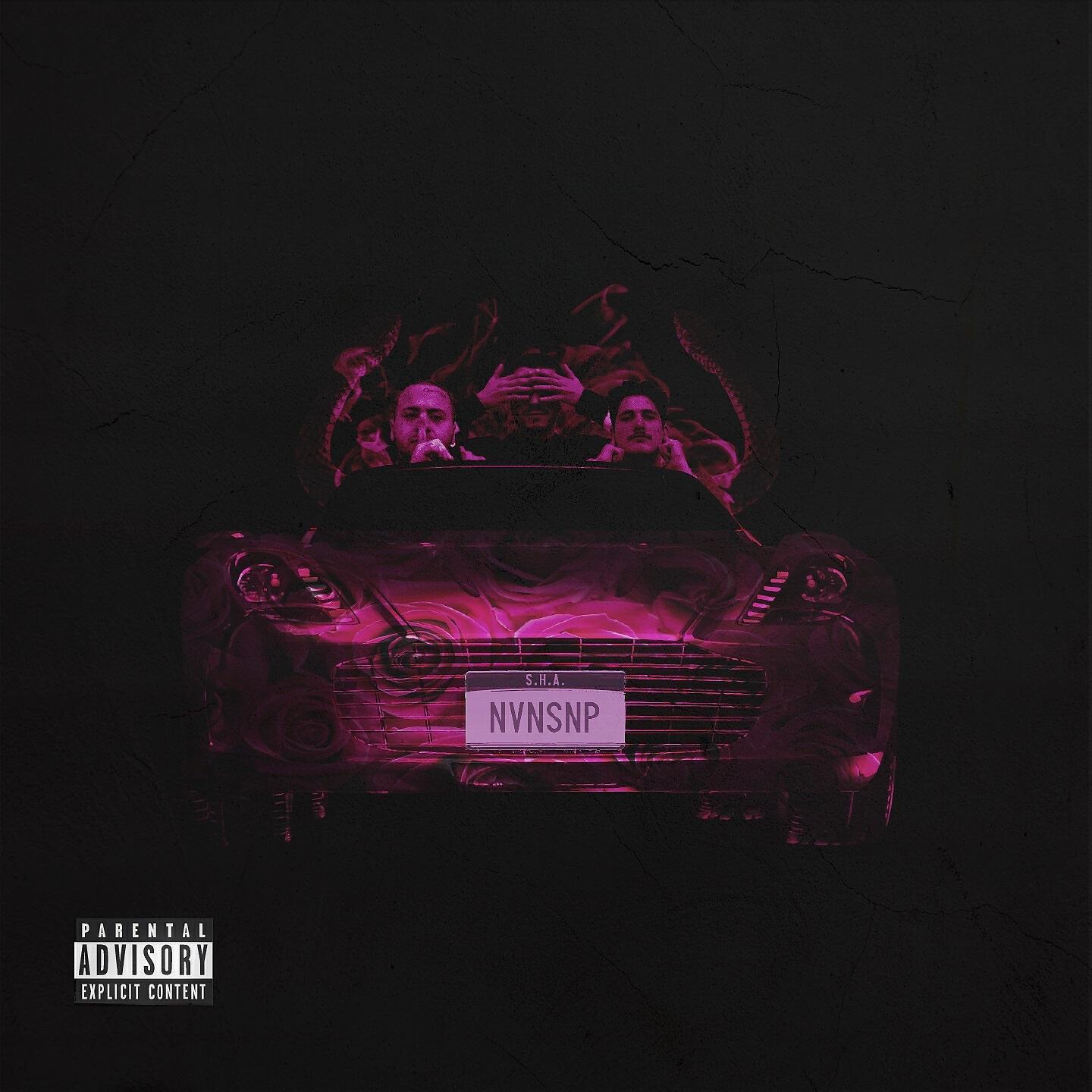 Релиз NVNSNP