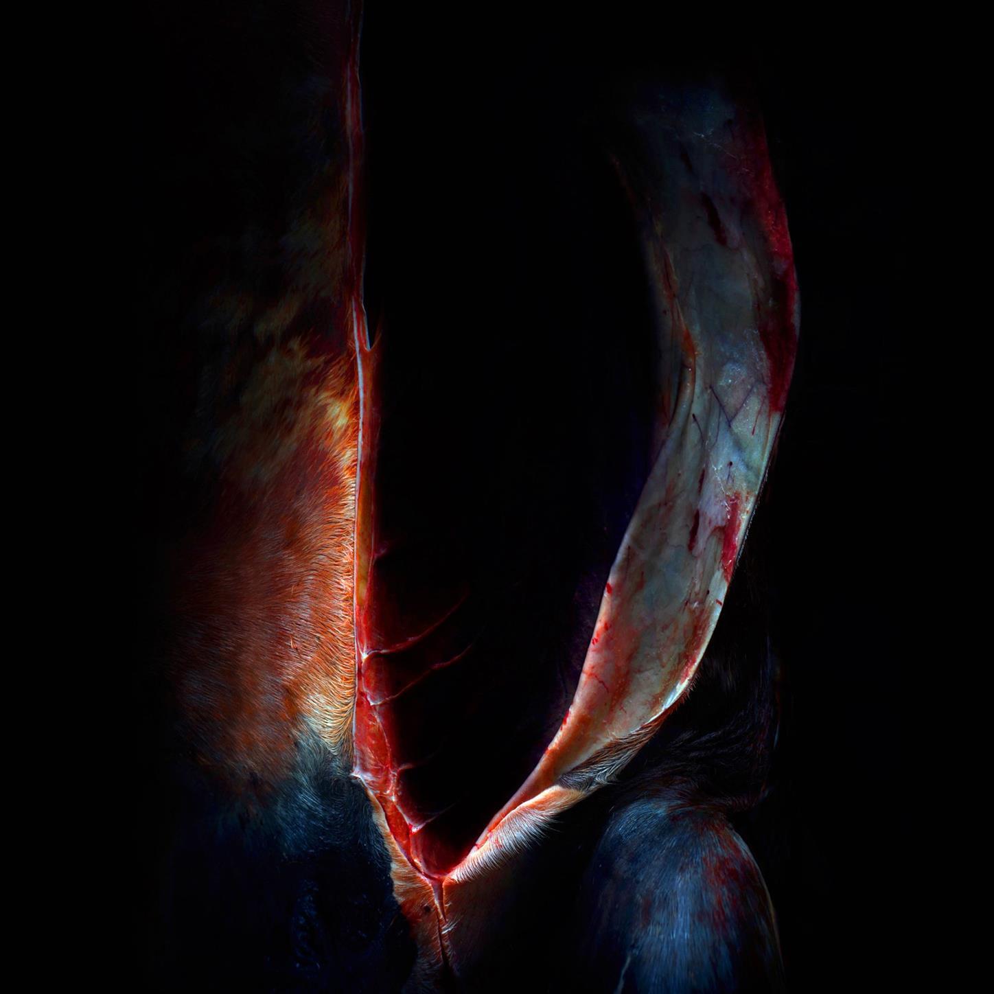 Релиз XXVI Crimes of Love
