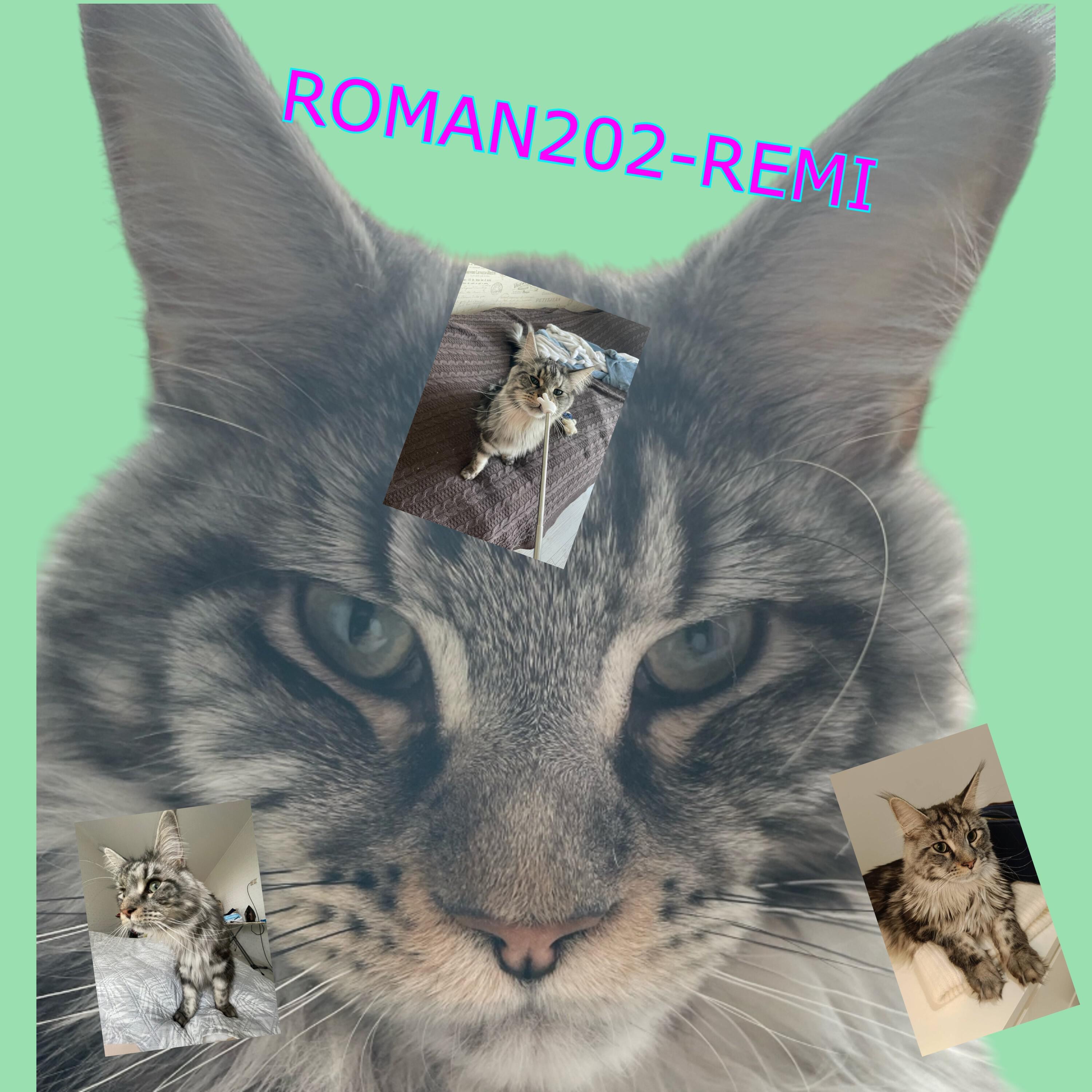 Roman202