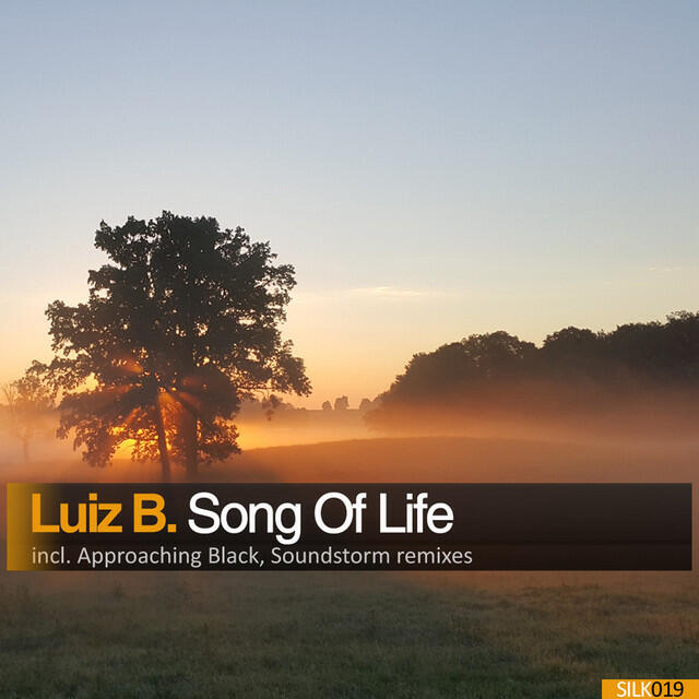 Релиз Song Of Life