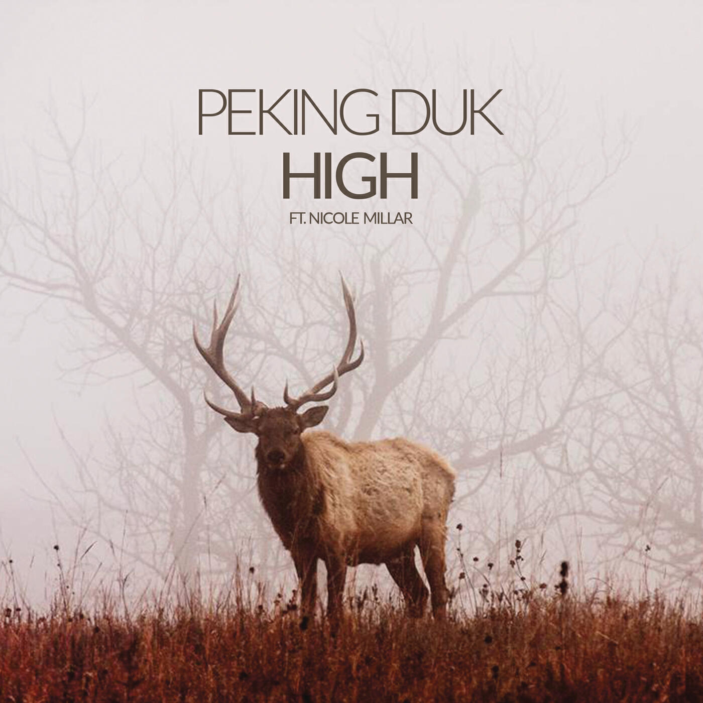 Релиз High