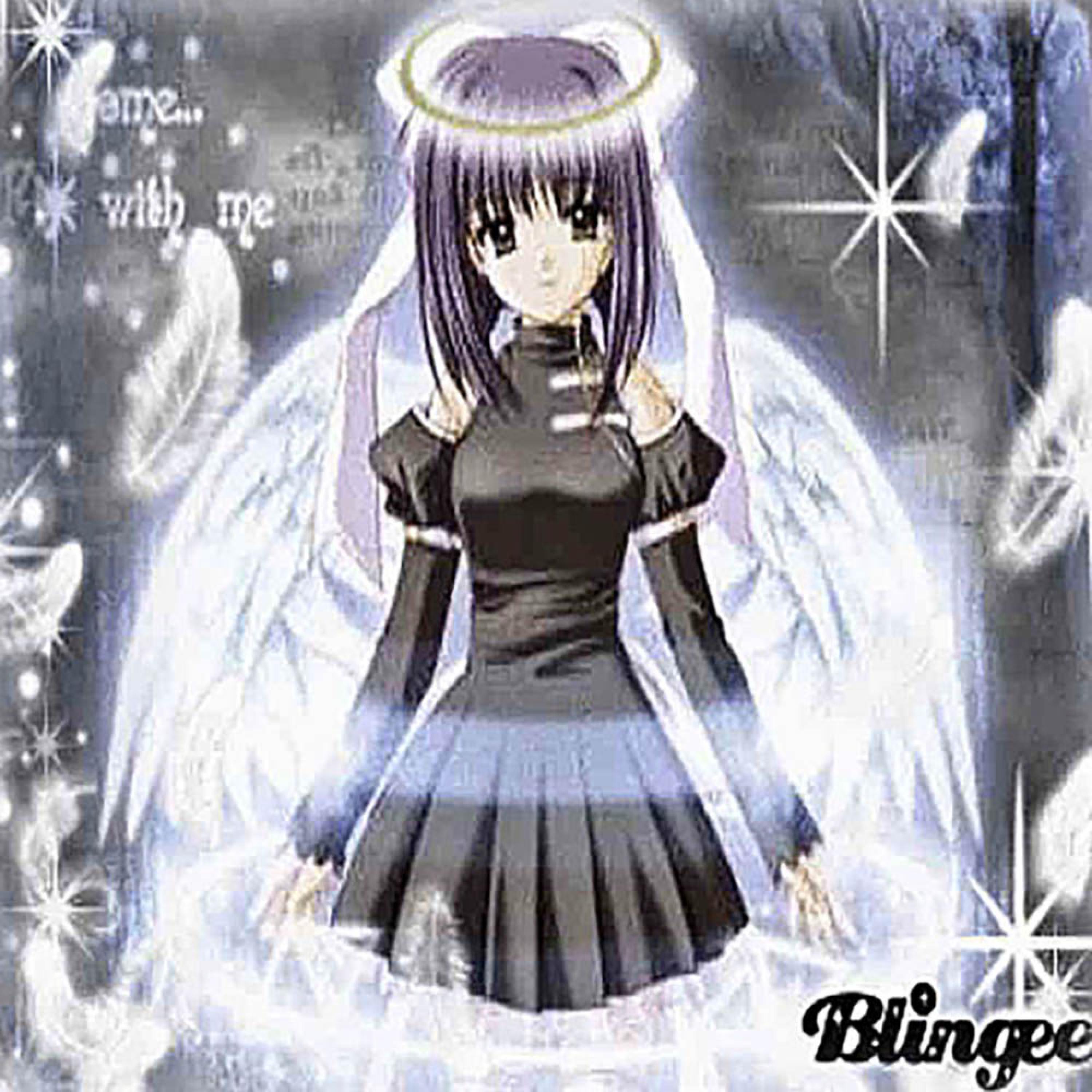 Релиз halos