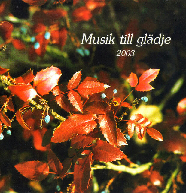 Релиз Musik till Gladje 2003