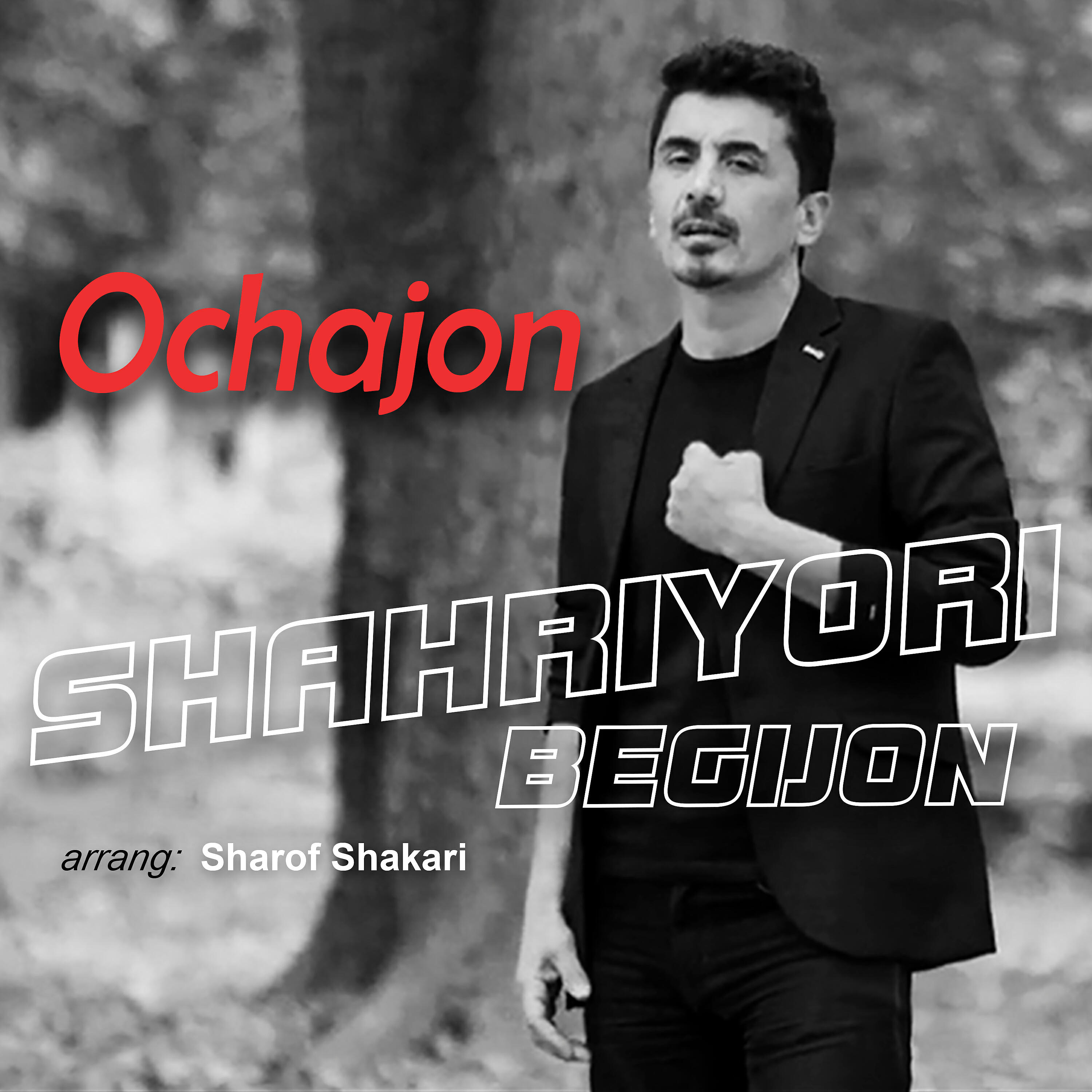 Релиз Ochajon