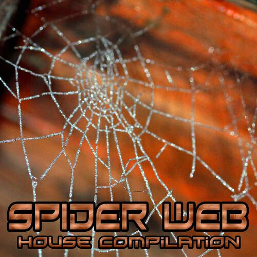 Релиз Spider Web