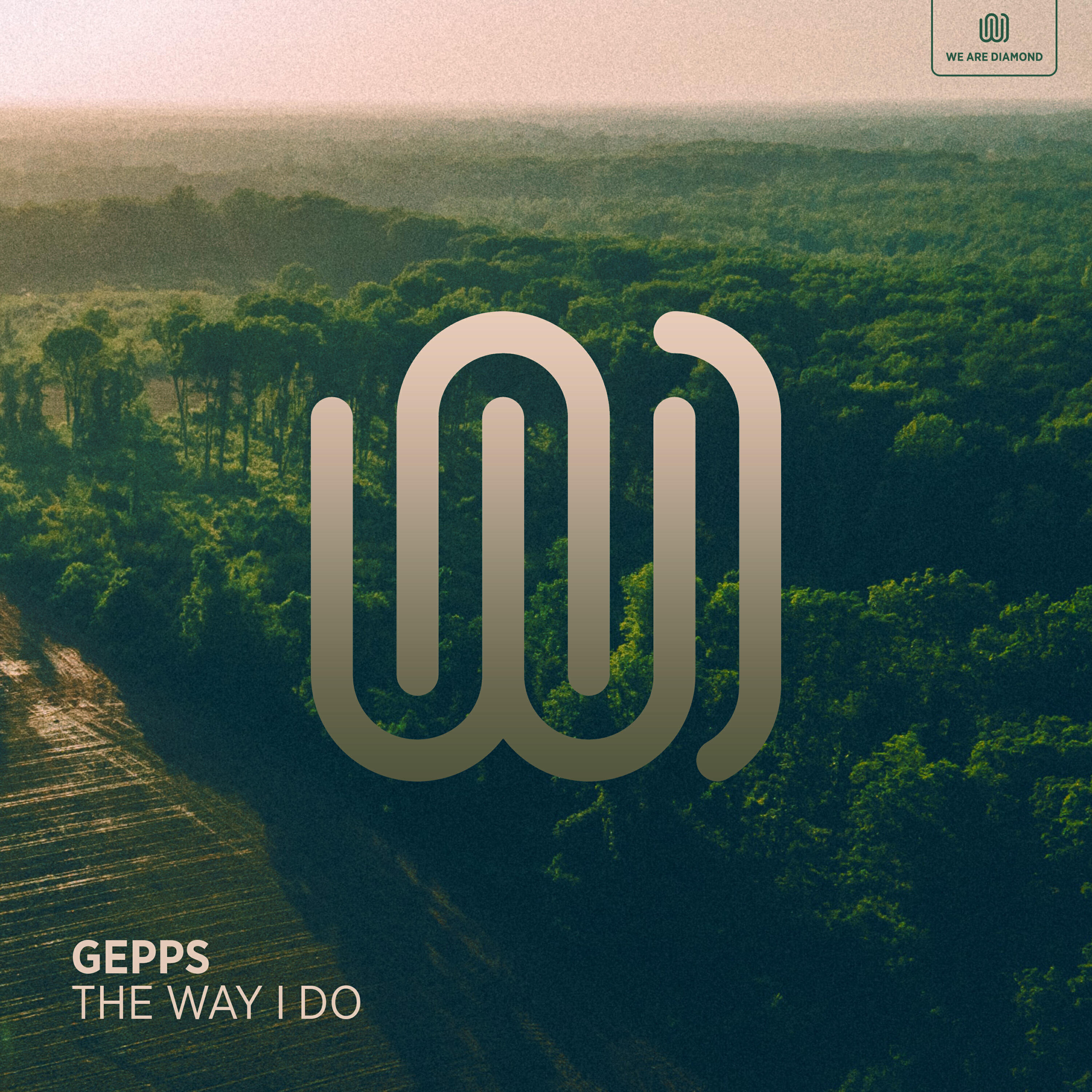 Релиз The Way I Do