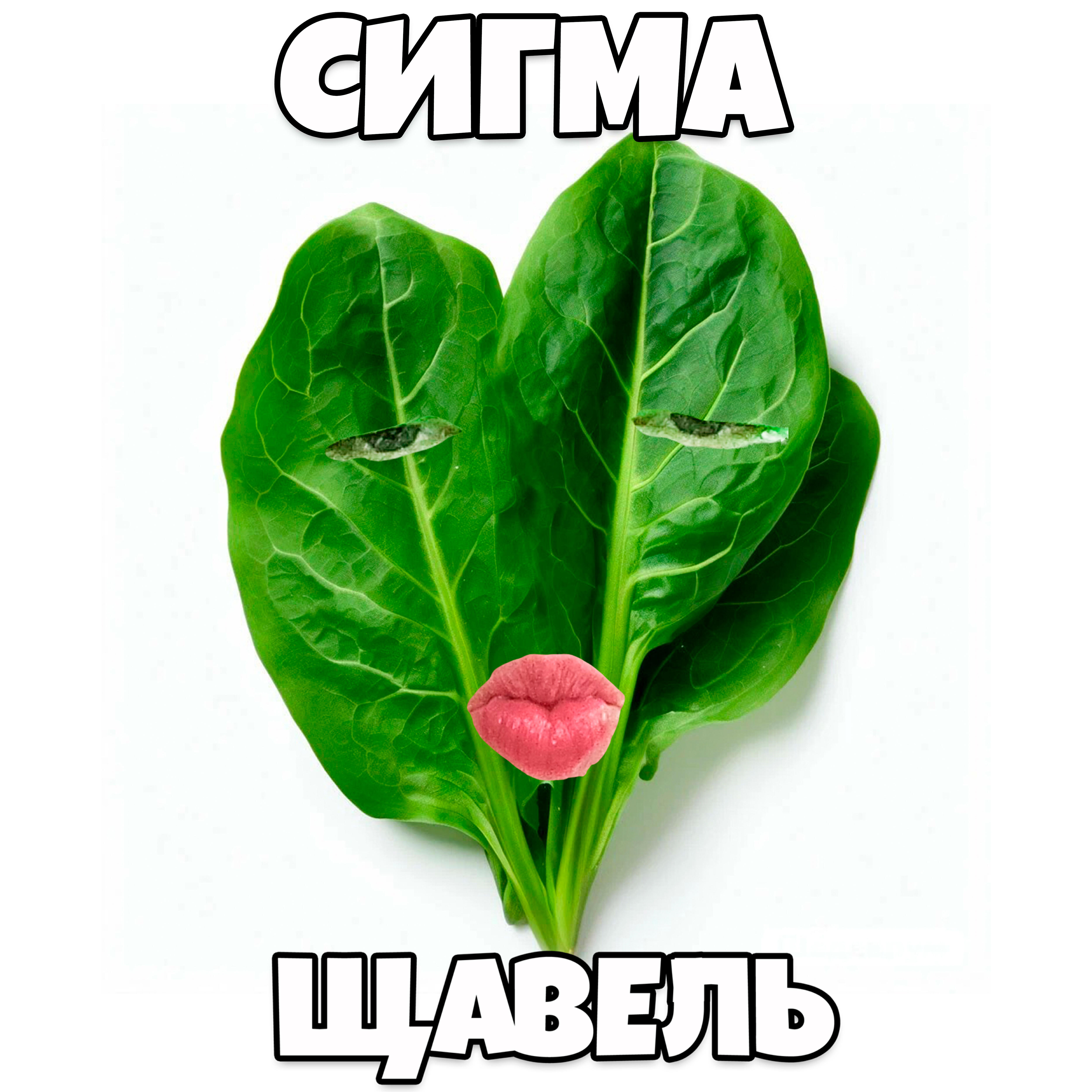 Релиз Сигма щавель