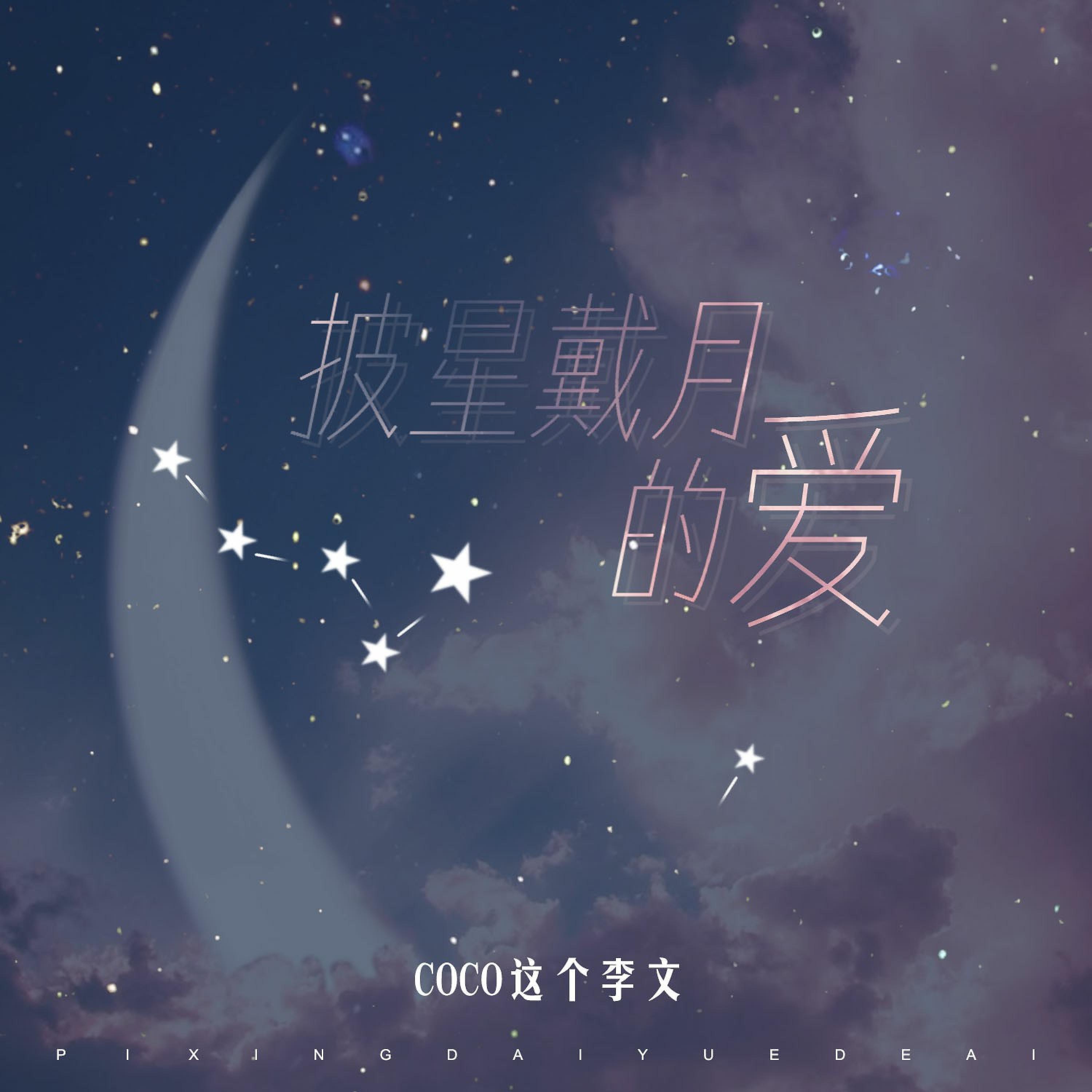 Постер альбома 披星戴月的爱