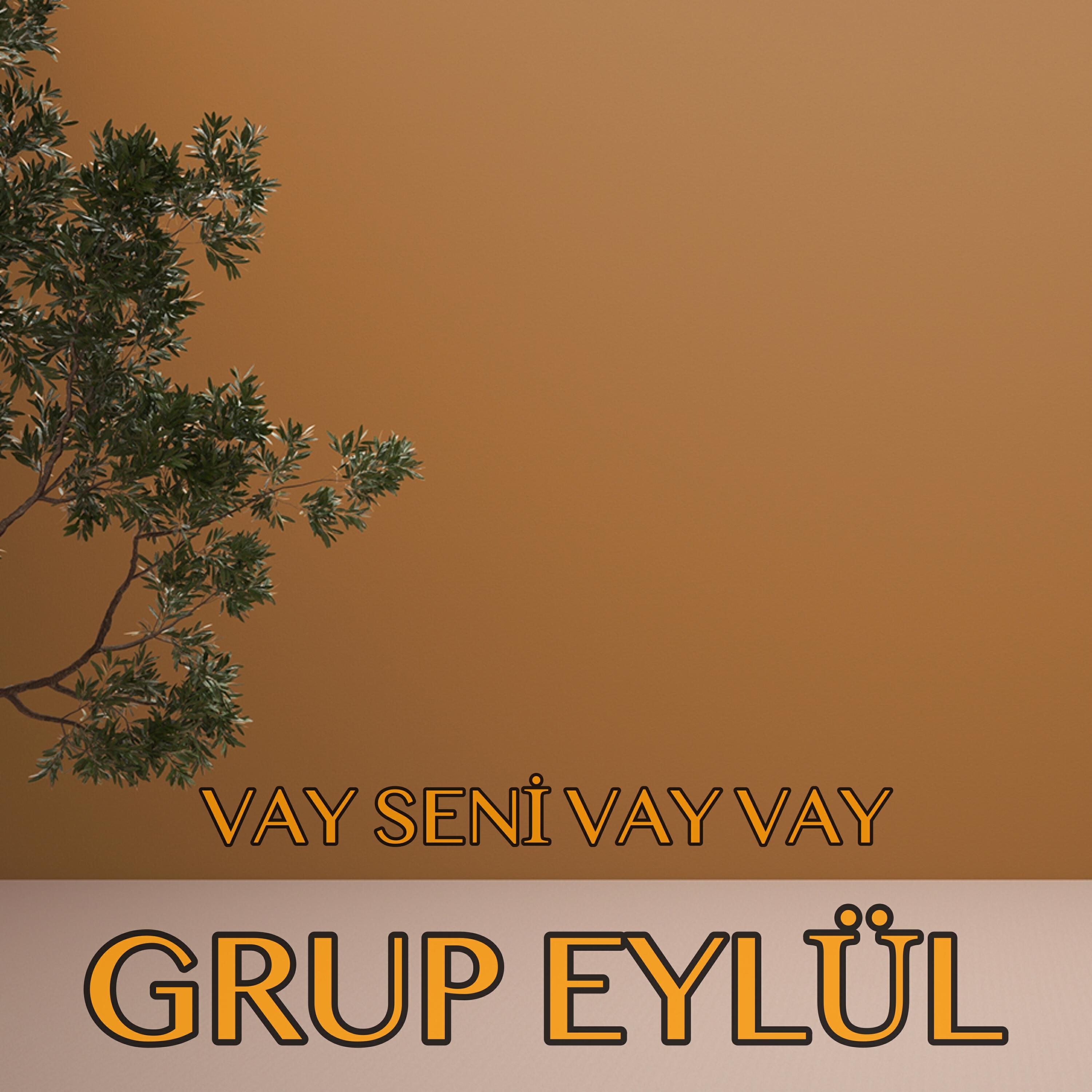 Релиз Vay Seni Vay Vay
