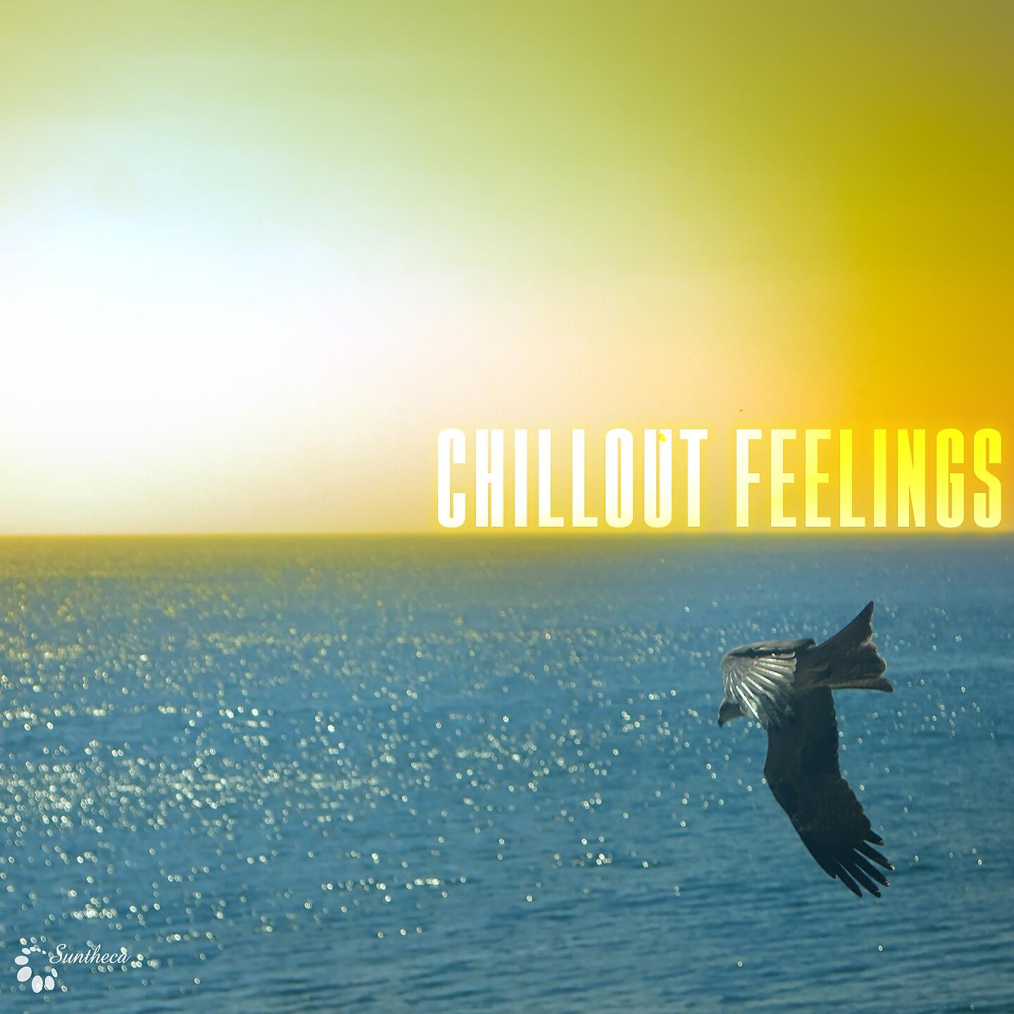 Релиз Chillout Feelings