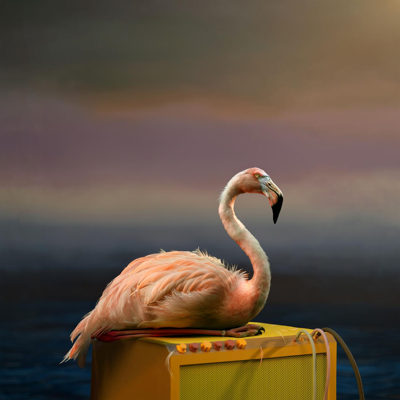 Релиз Coast